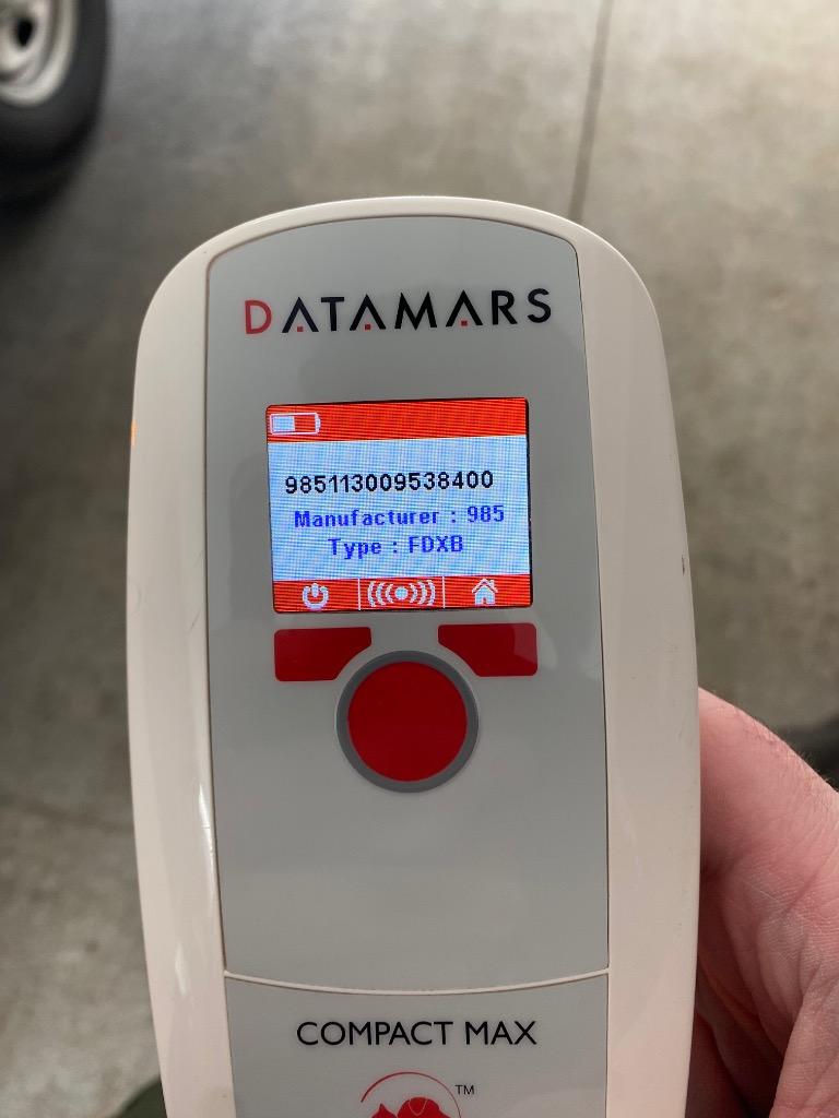 Tabitha, a Adoptable mixed breed in Cartersville , GA image 2/2