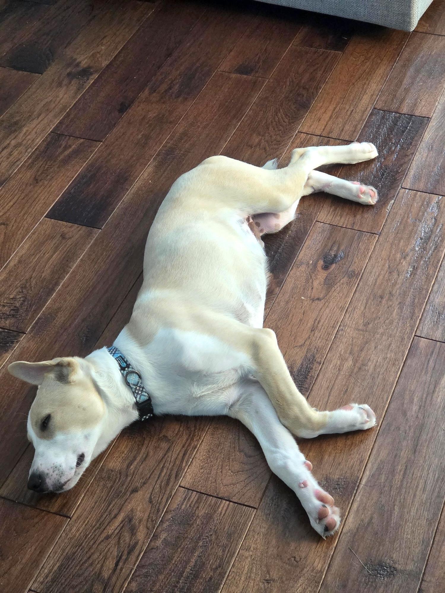 Elliott