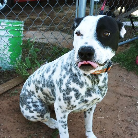 Minnie — thumbnail 3