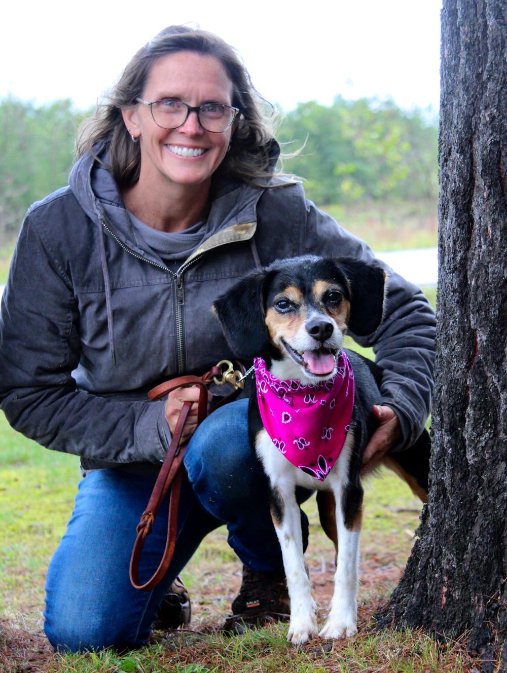 Athena, Adoptable, Adult Female Beagle & Terrier.