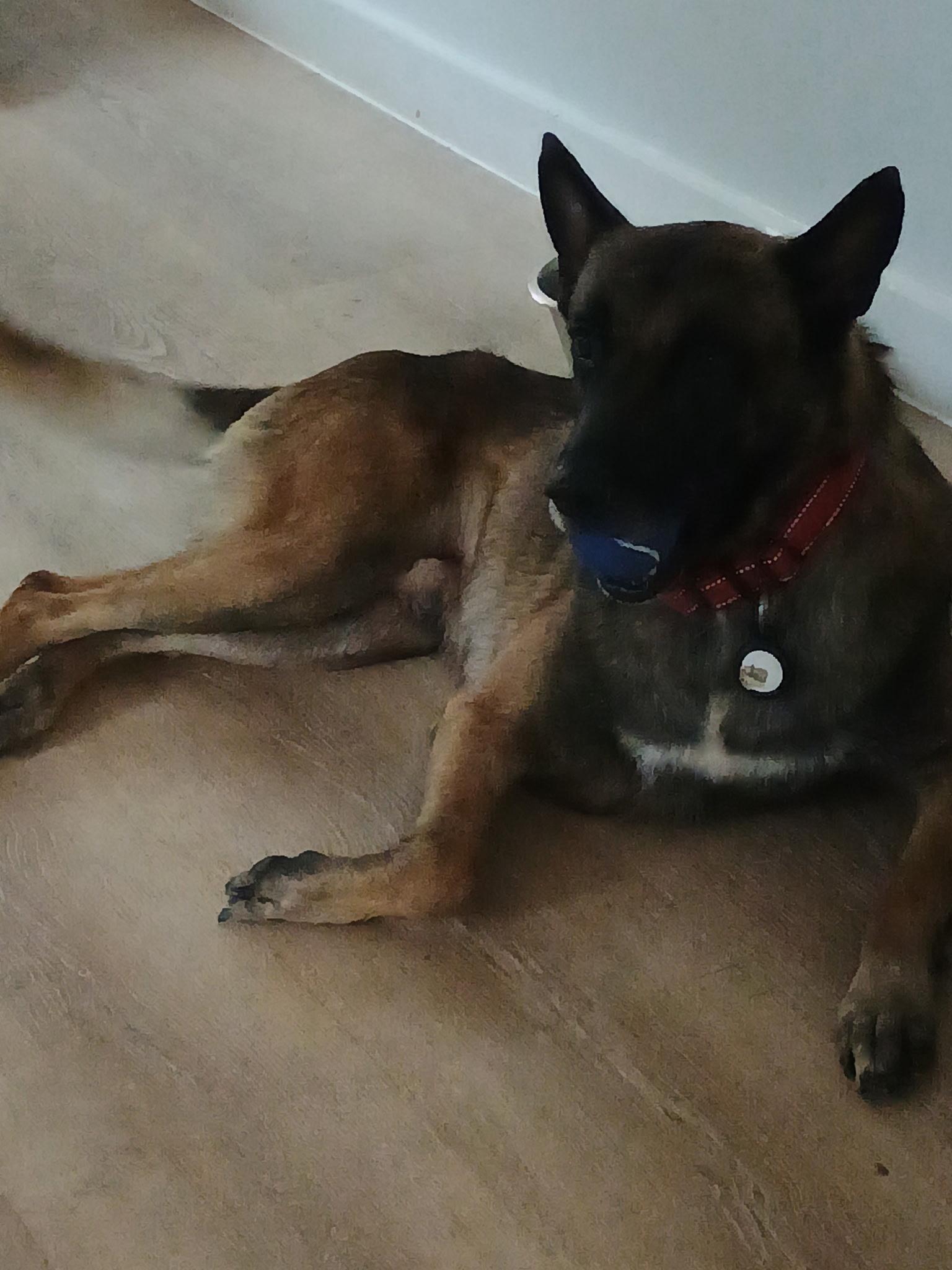 MaX