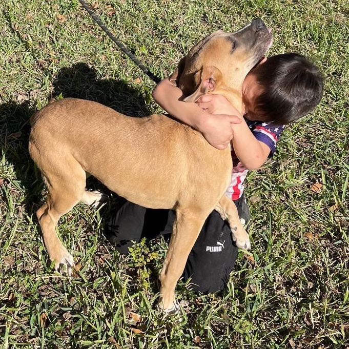 Bear — thumbnail 6