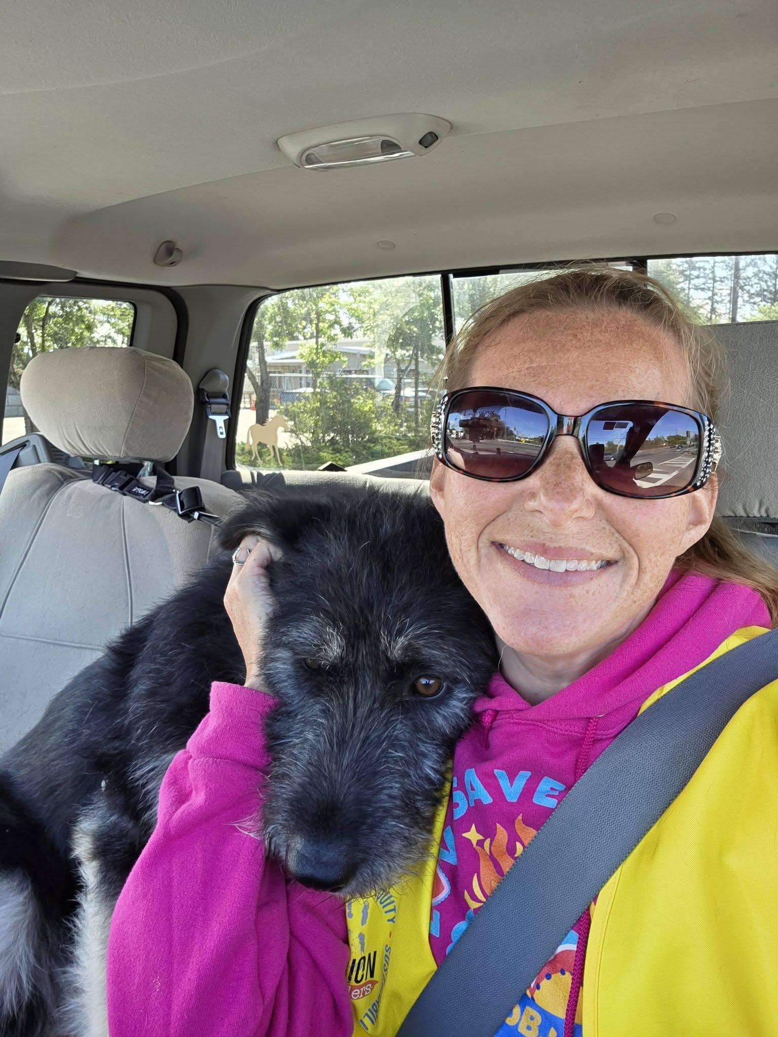 Bad Bunny, a ADOPTABLE mixed breed in Santa Rosa, CA image 6/6