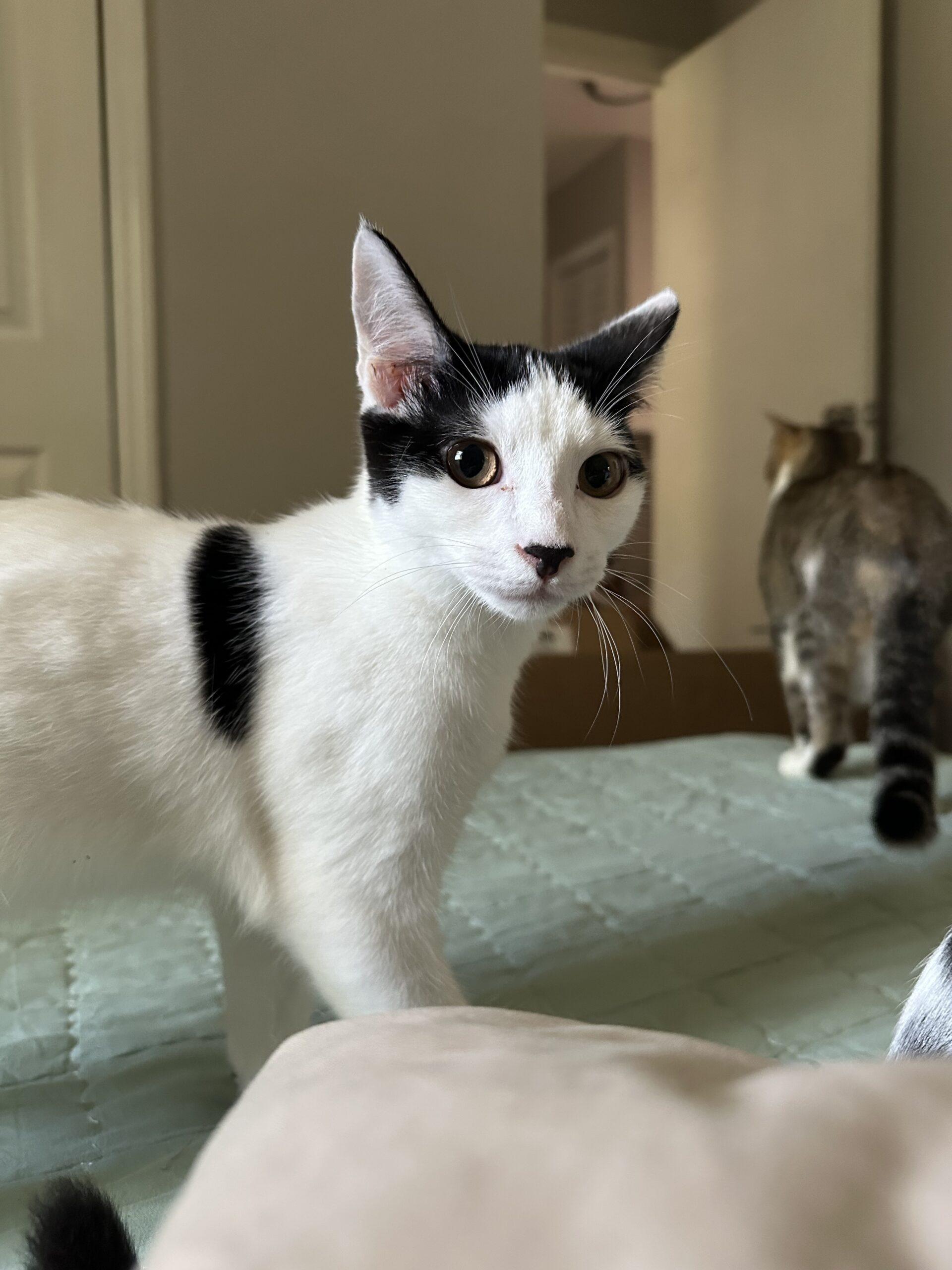 Haven — thumbnail 3