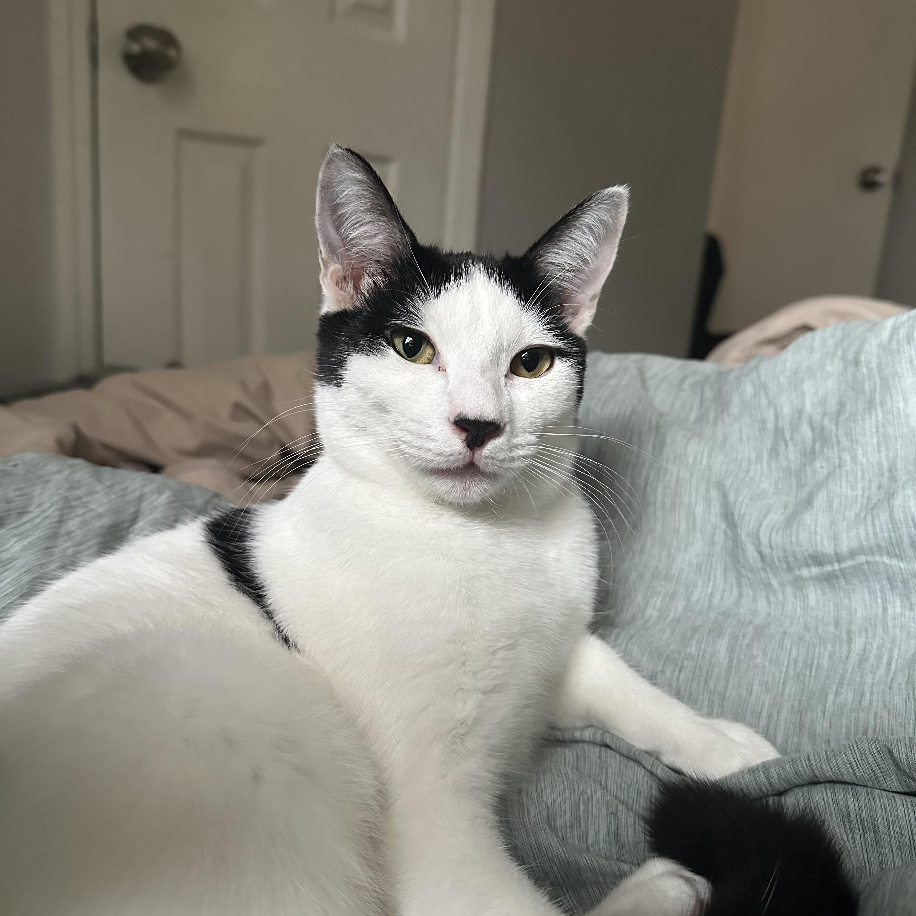 Haven — thumbnail 5