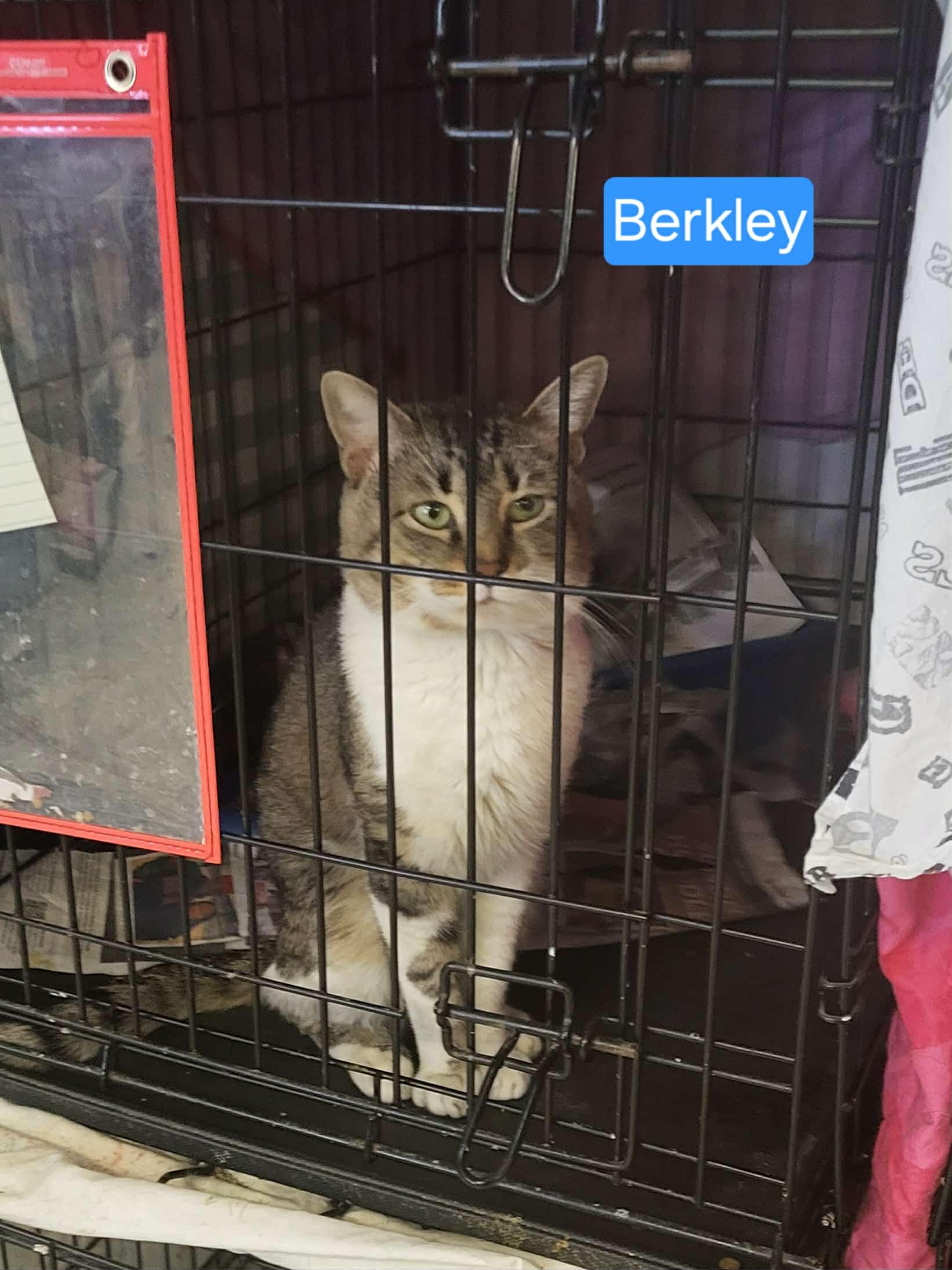 Berkley