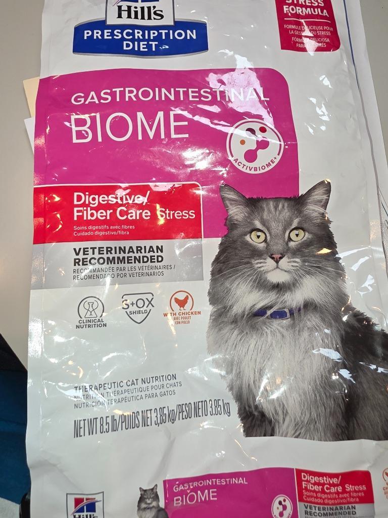 Enlarge Smiles, a Adoptable mixed breed in Wintersville, OH image 4/6