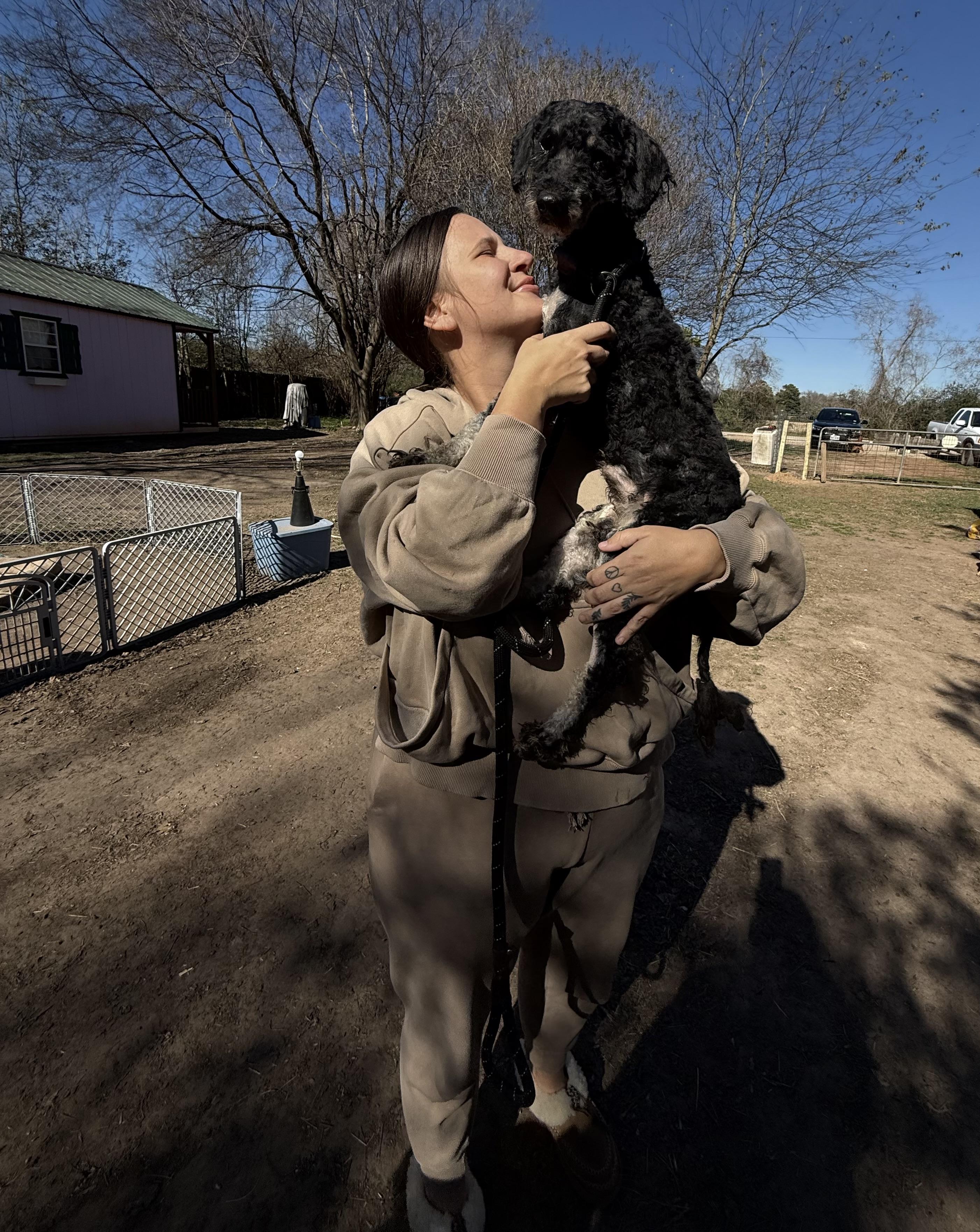 Enlarge Buddy, an adopted mixed breed in Spring, TX image 3/5