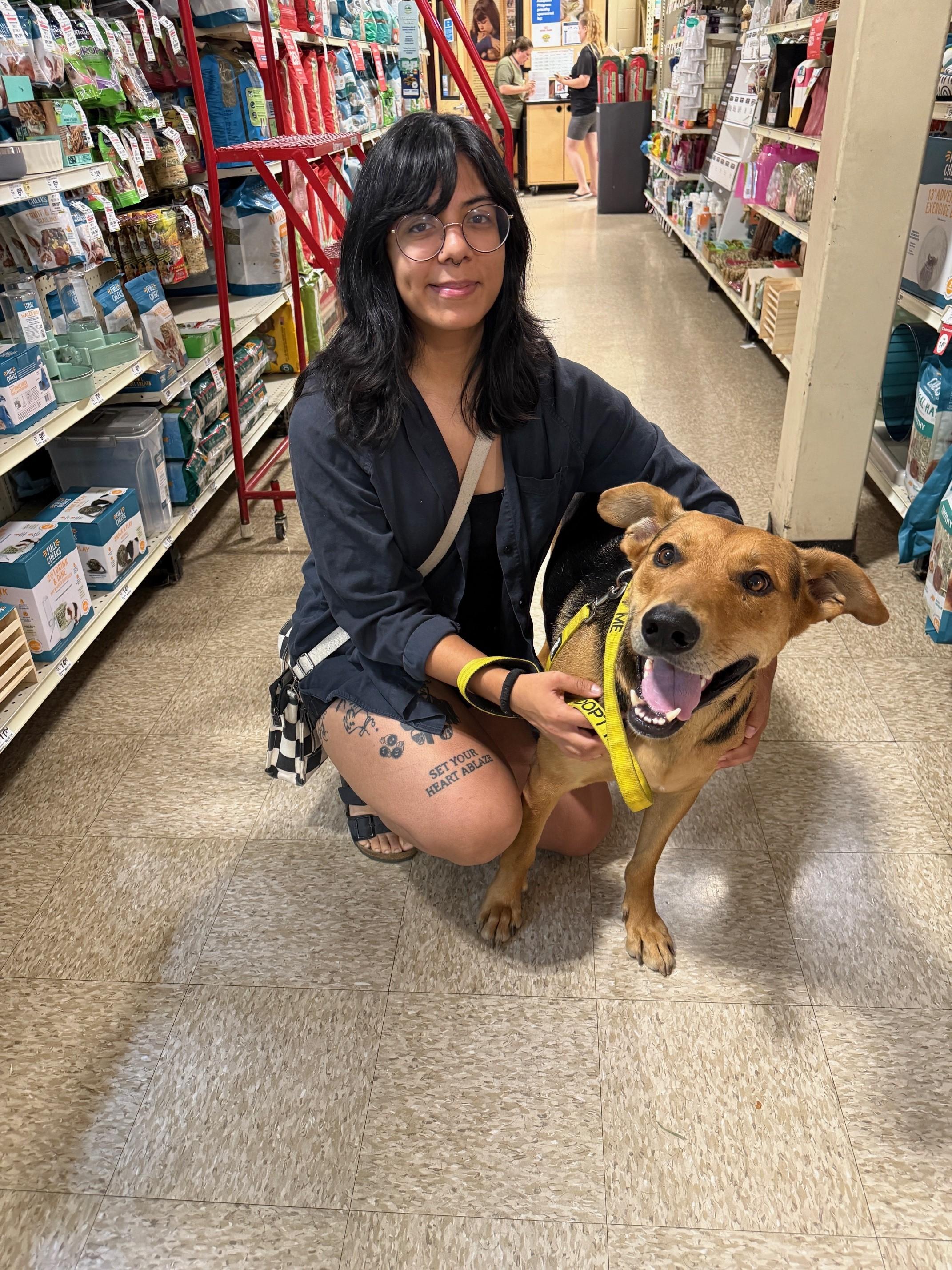 Enlarge Spencer, a Adoptable mixed breed in Redding, CA image 6/6