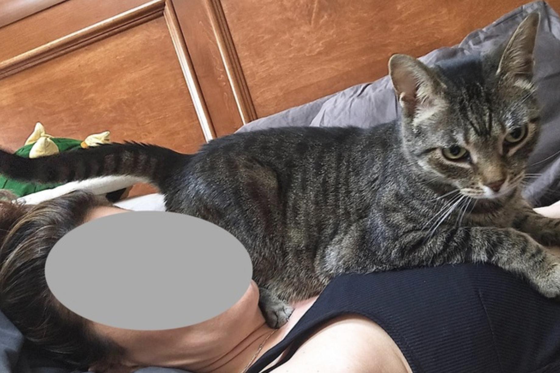 Butters — thumbnail 4