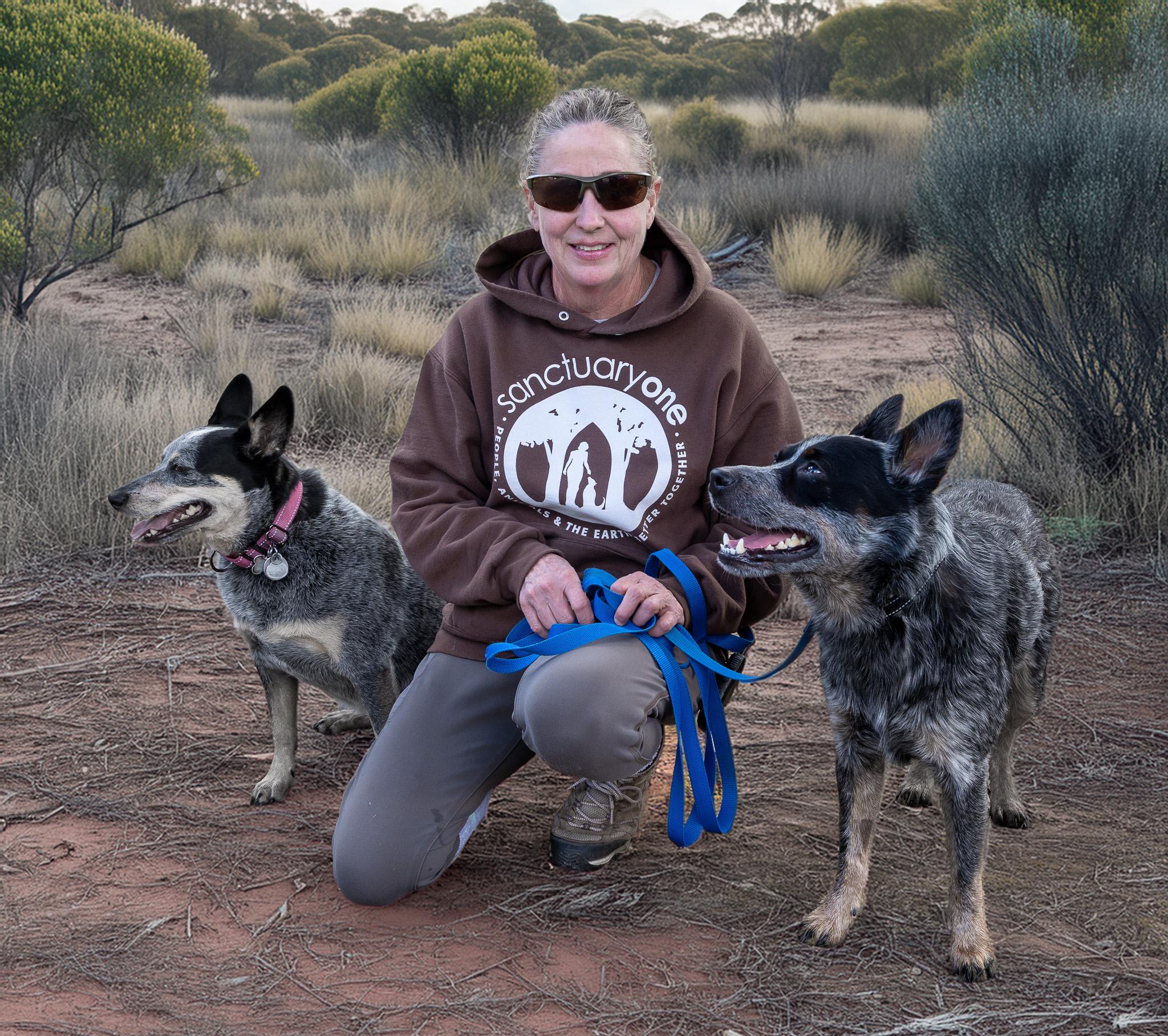 Aussie, a Adopted Australian Cattle Dog / Blue Heeler in Jacksonville, OR image 4/4