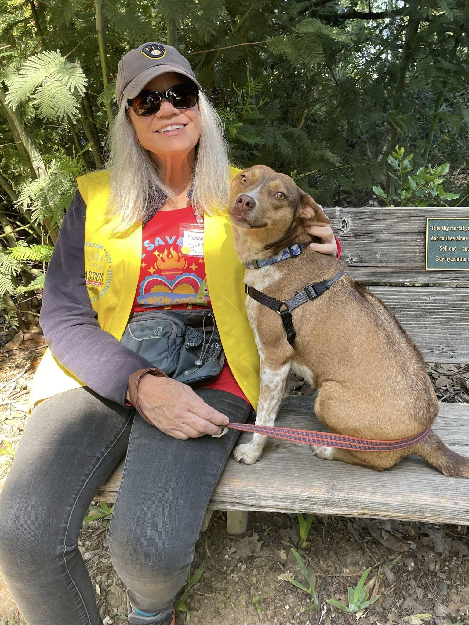 Enlarge Maple Donut, a ADOPTABLE mixed breed in Santa Rosa, CA image 5/6