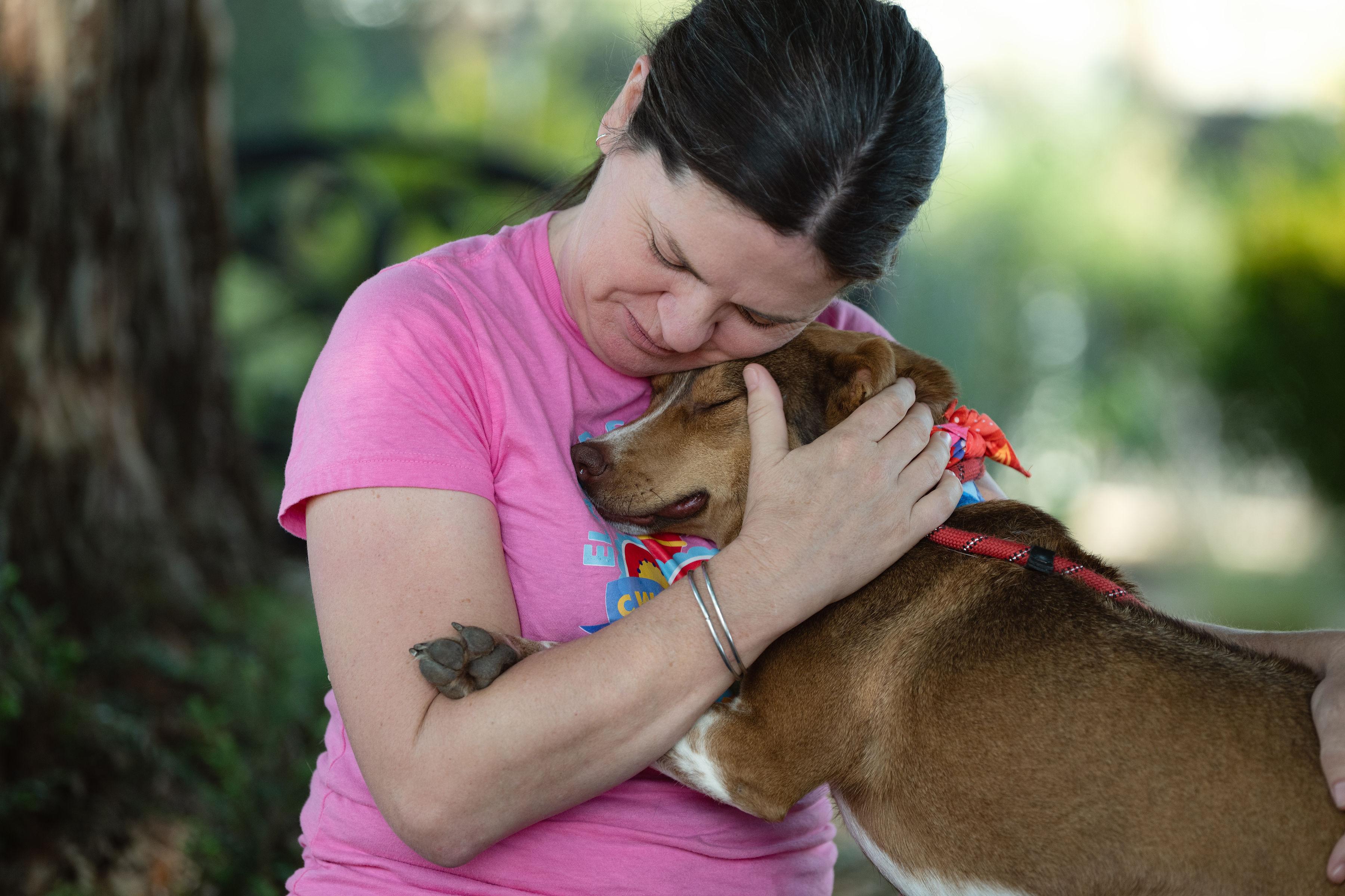 Maple Donut, a ADOPTABLE mixed breed in Santa Rosa, CA image 3/6