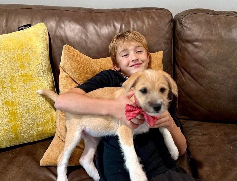 Jimmy Scruffy — thumbnail 4