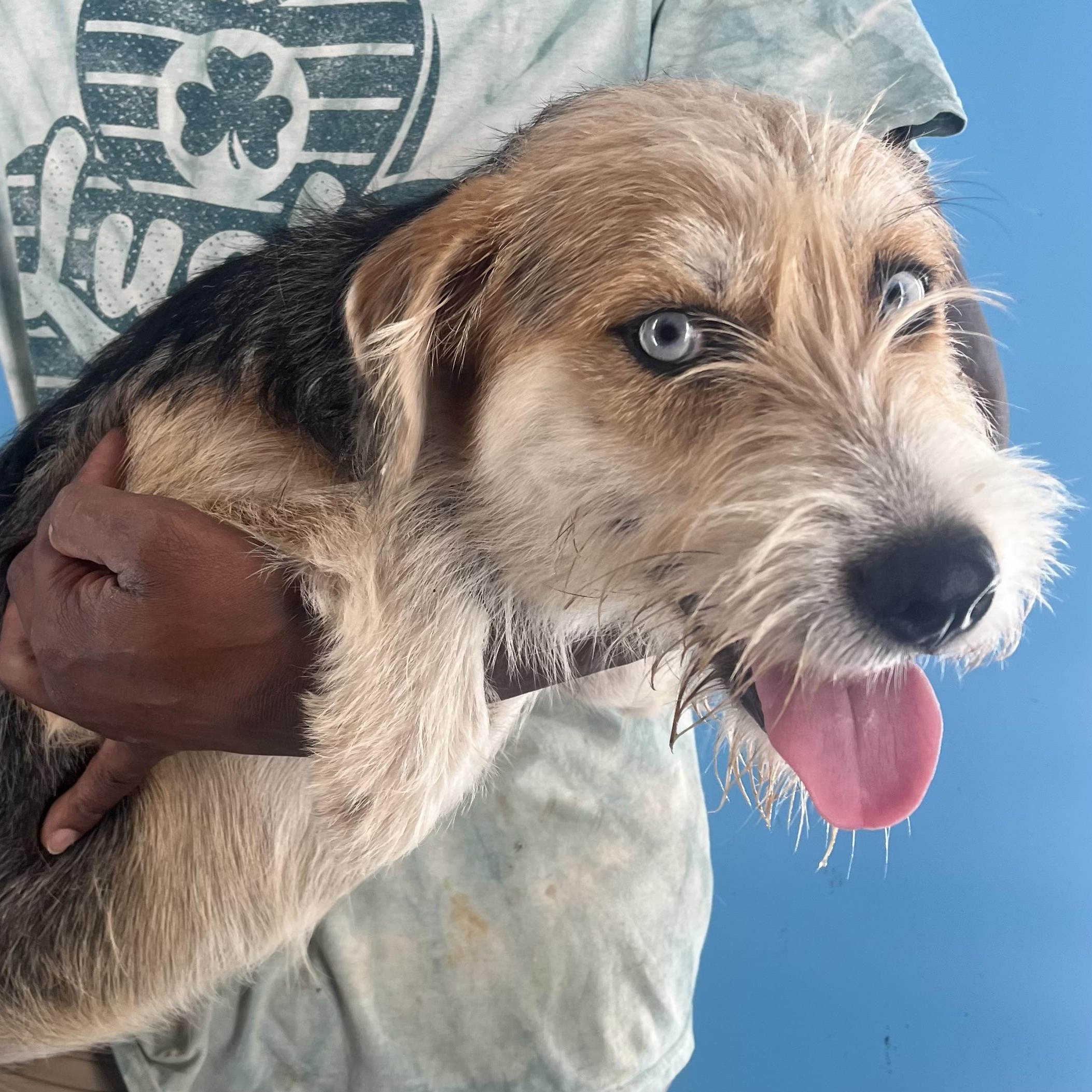 Pandora - Local Sept 26-28