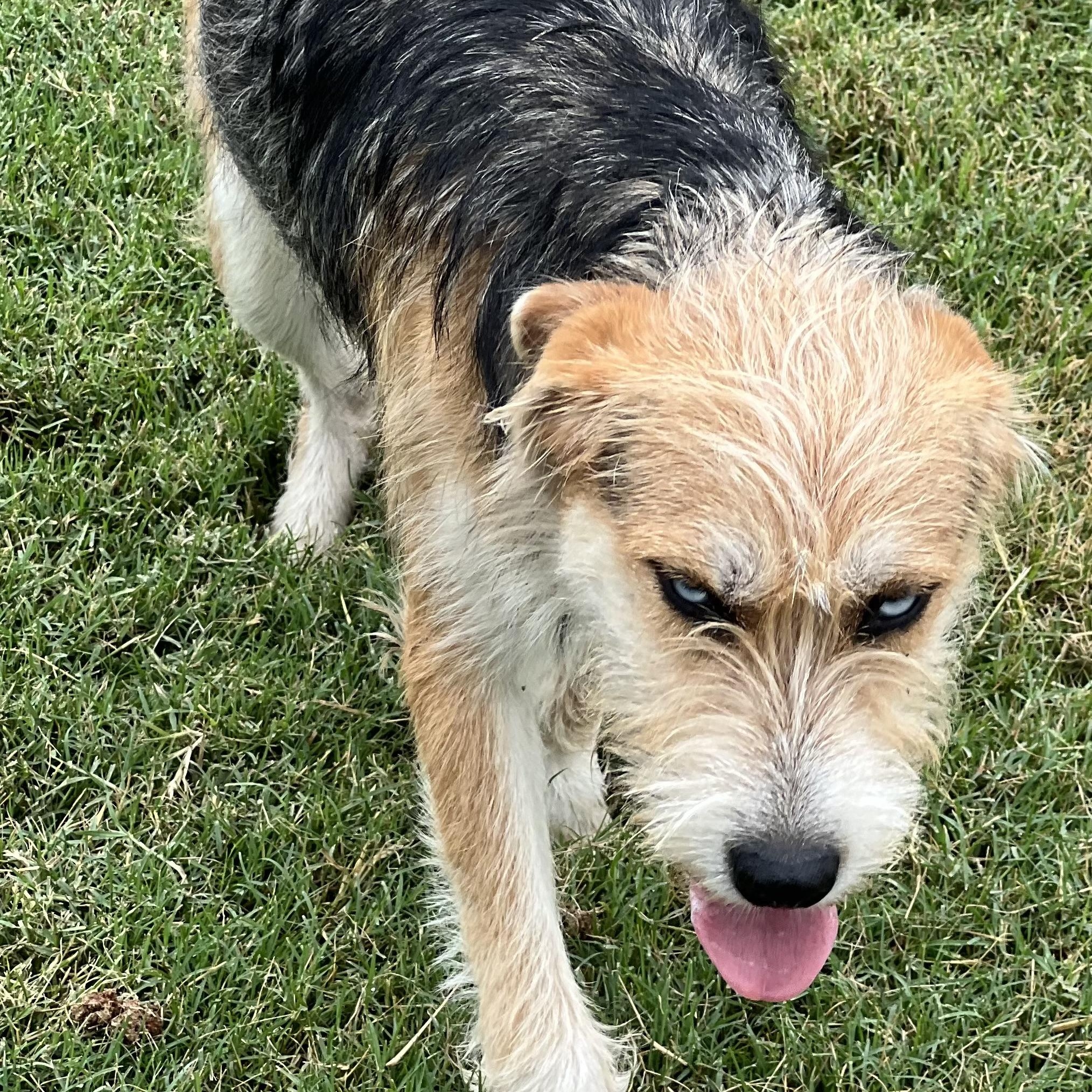 Pandora - Local Sept 26-28