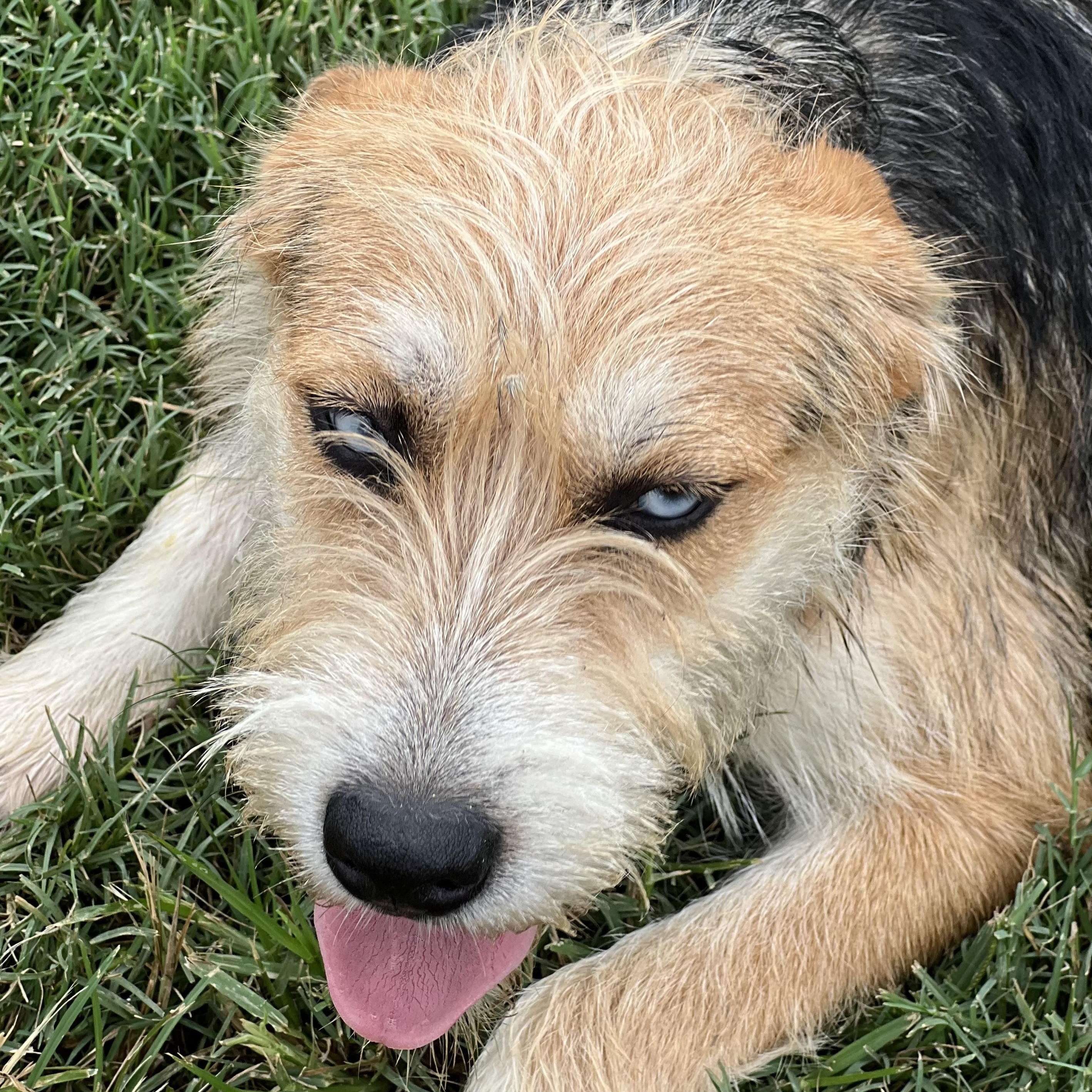 Pandora - Local Sept 26-28