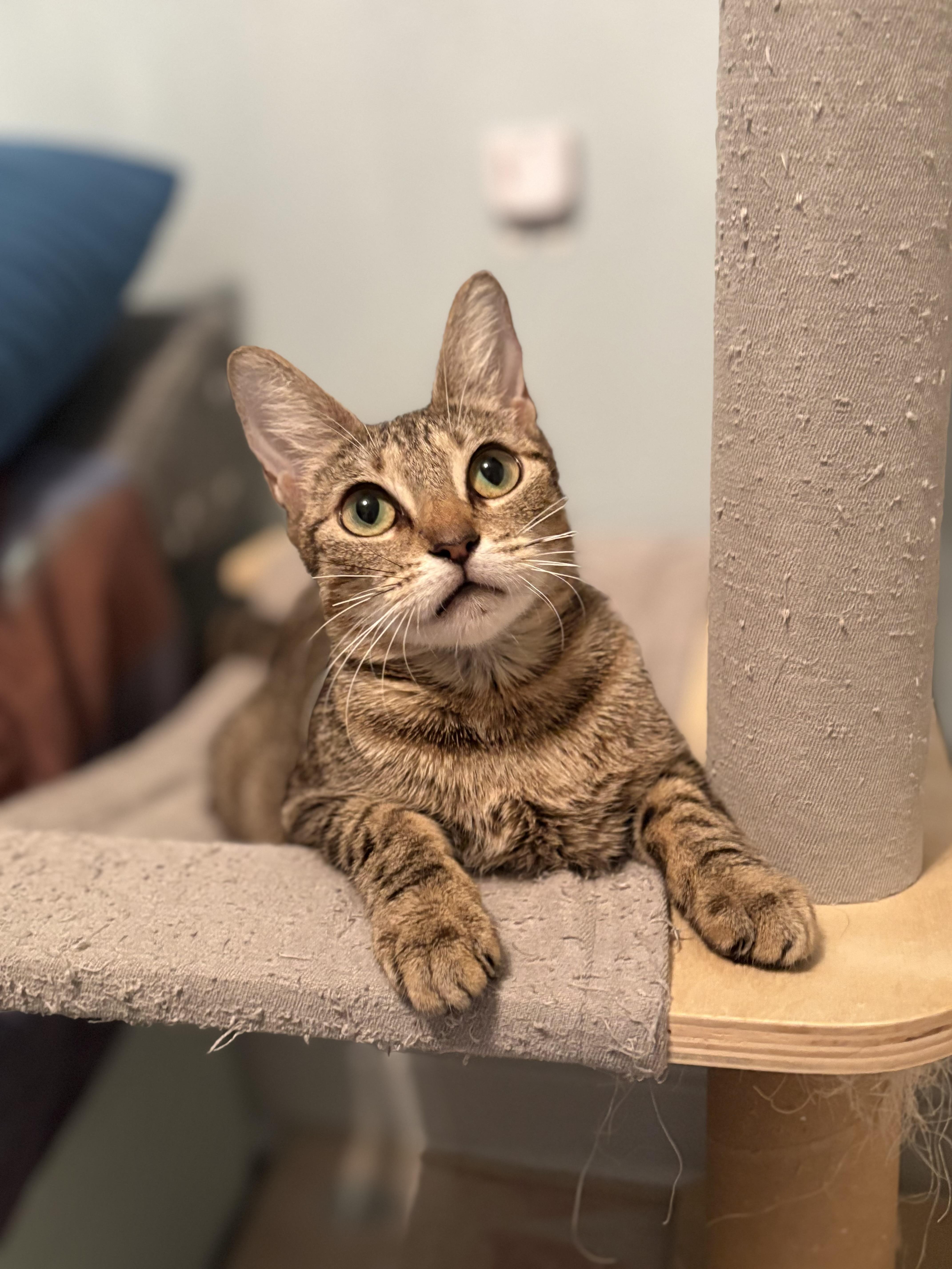 Delia Deetz — thumbnail 2