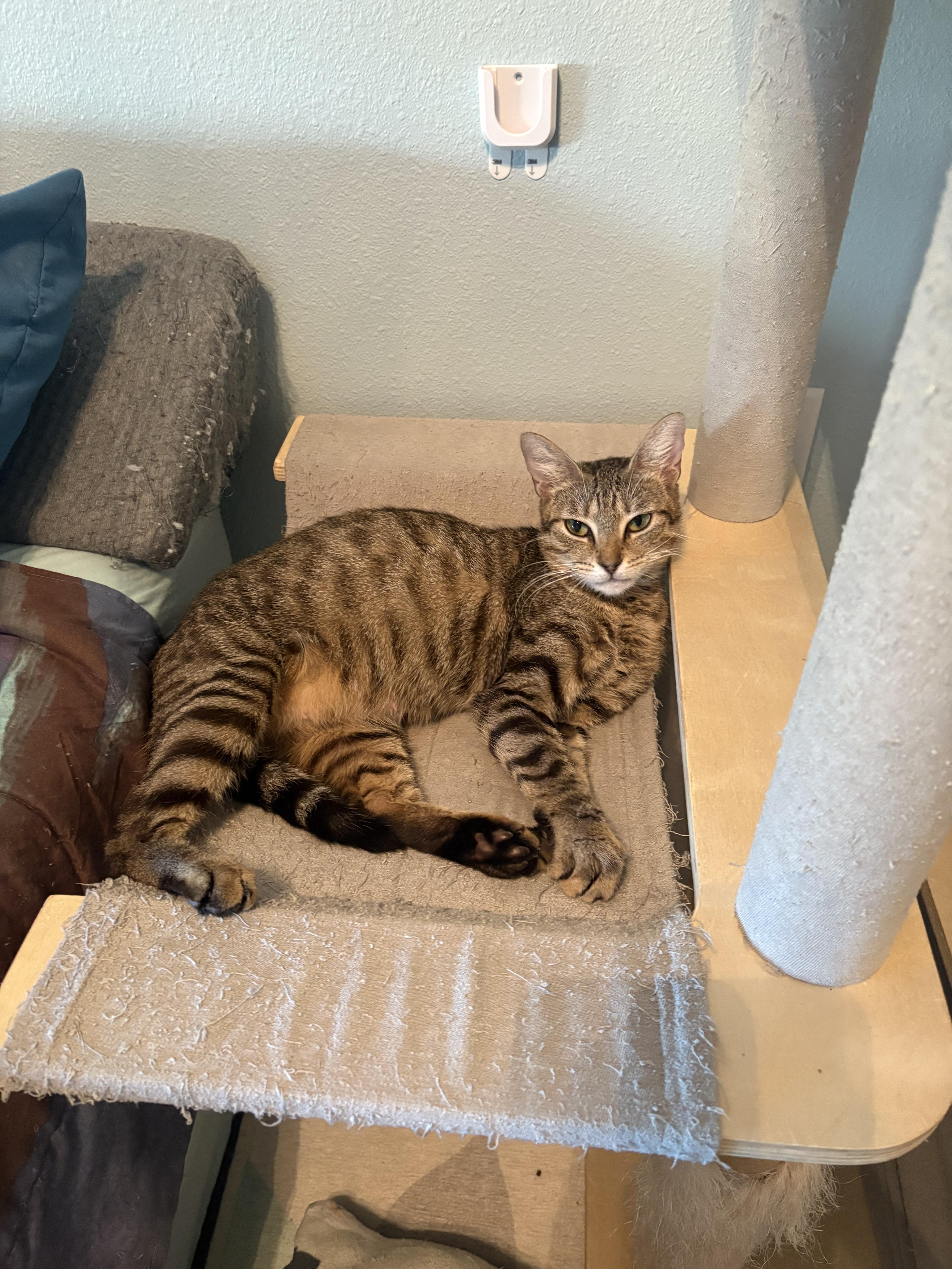 Delia Deetz — thumbnail 3