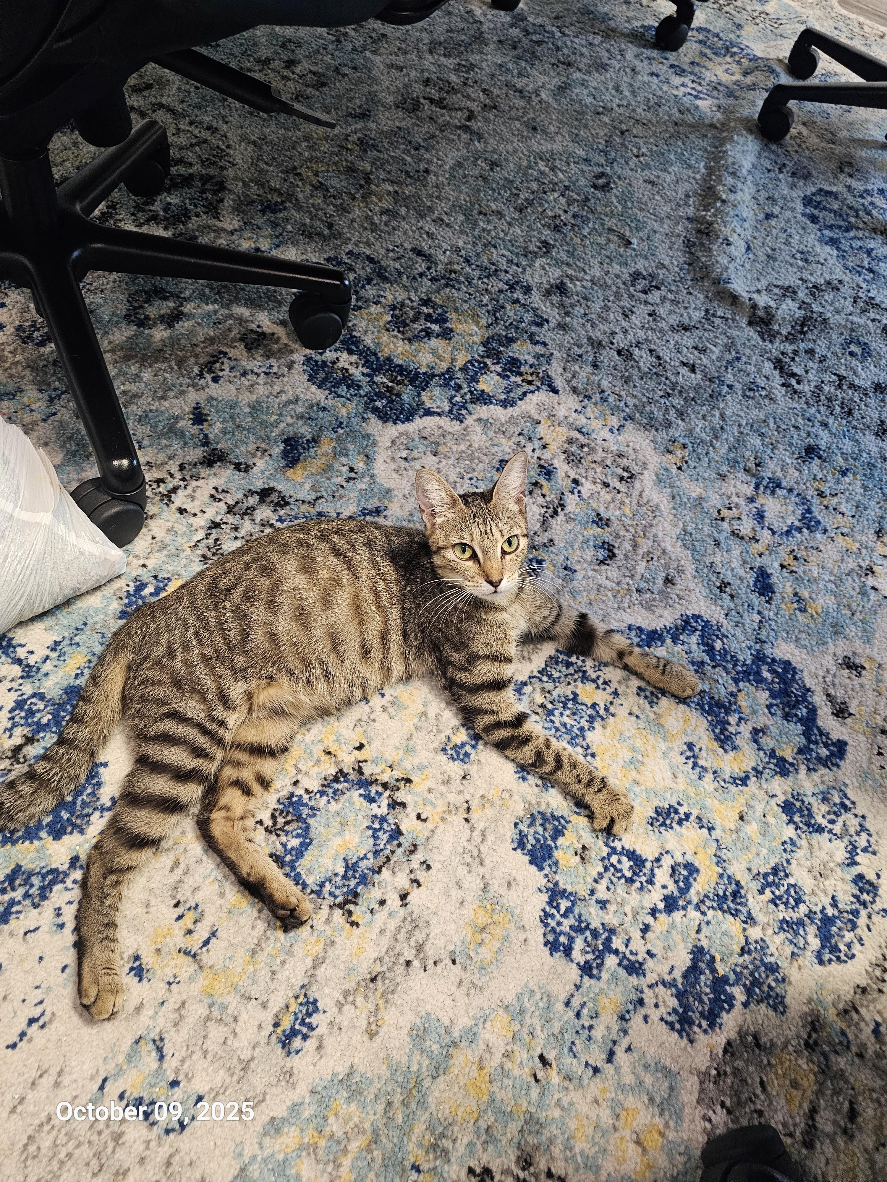 Delia Deetz — thumbnail 5