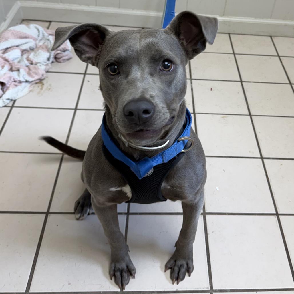 TUSC-Stray-83640 — thumbnail 2