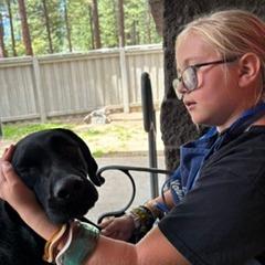 Roro, Adoptable, Adult Female Black Labrador Retriever & Hound.