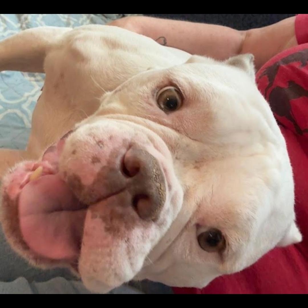Heavens To Betsy thumbnail 6