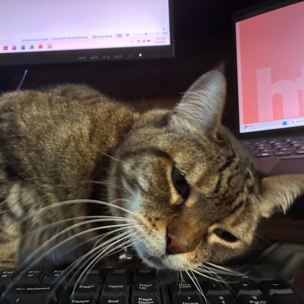 Calypso — thumbnail 2