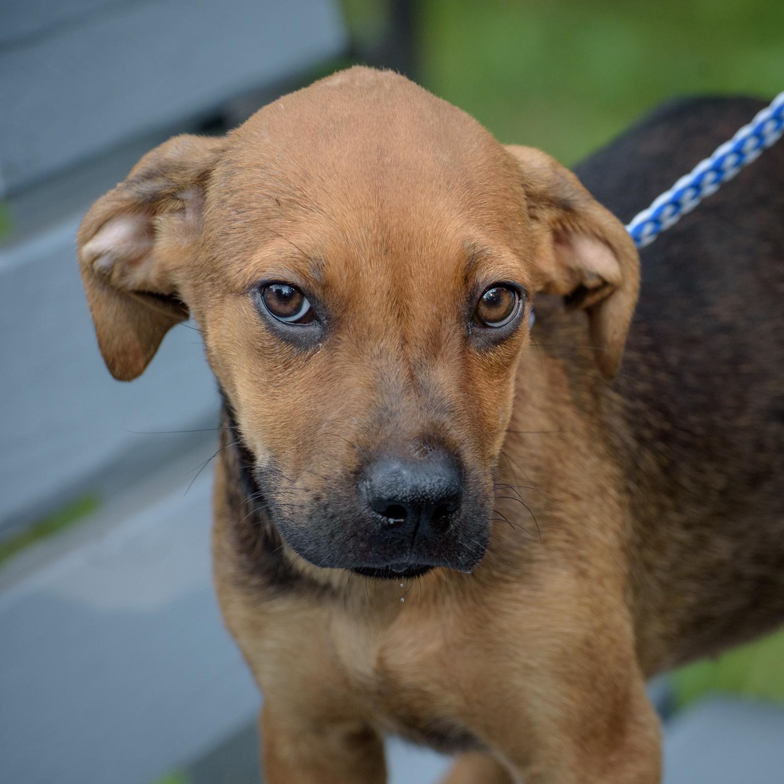 Cassie, Baby Female unknown