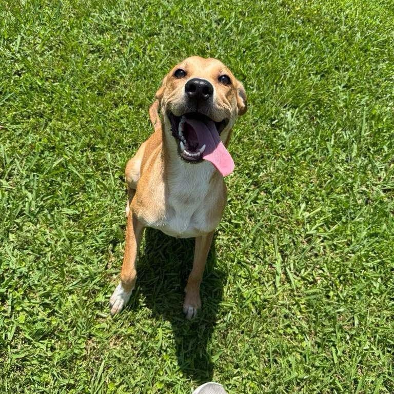 Wilma