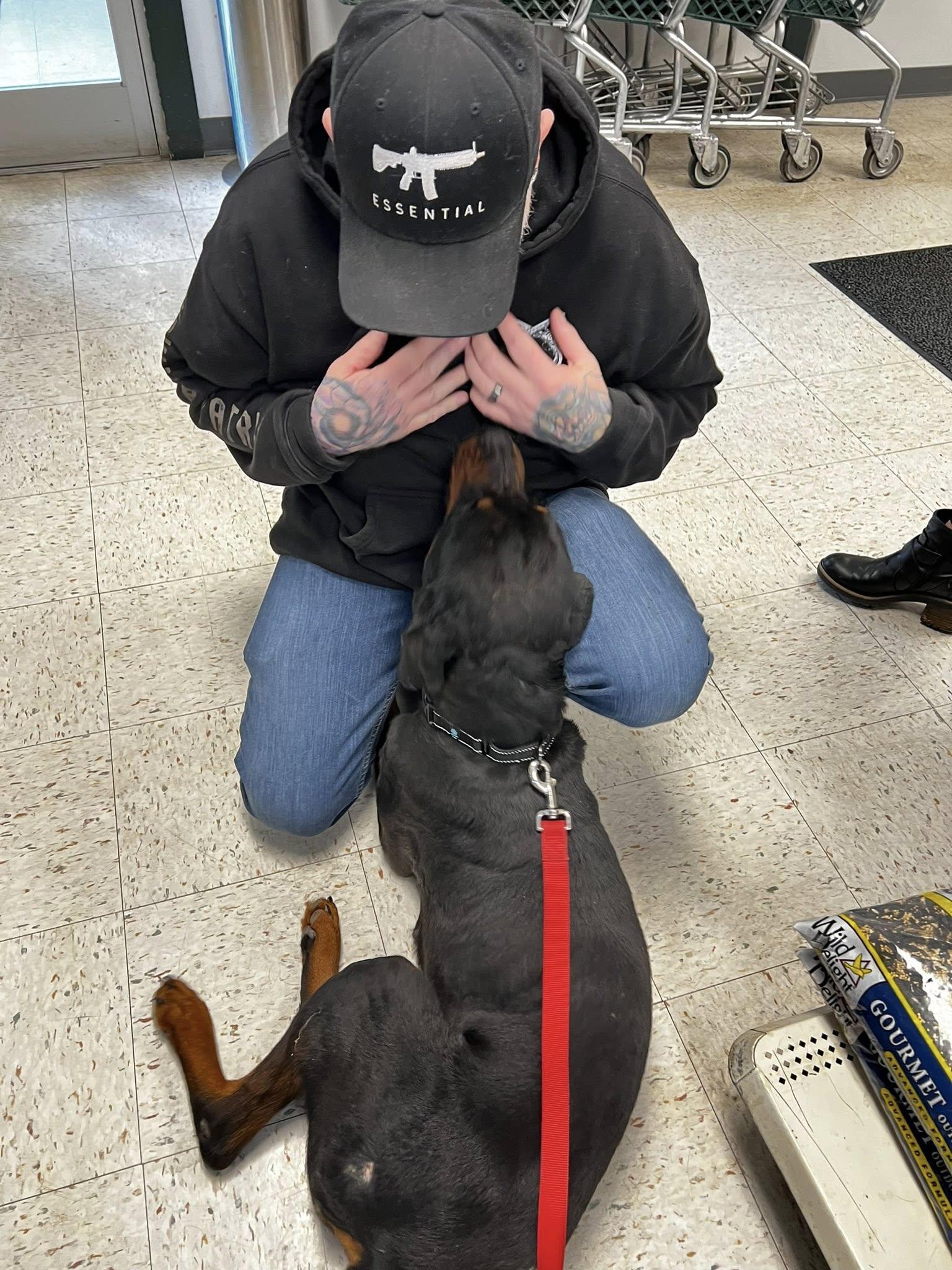 Enlarge Nova Two, a ADOPTABLE Rottweiler in Albany, NY image 4/4