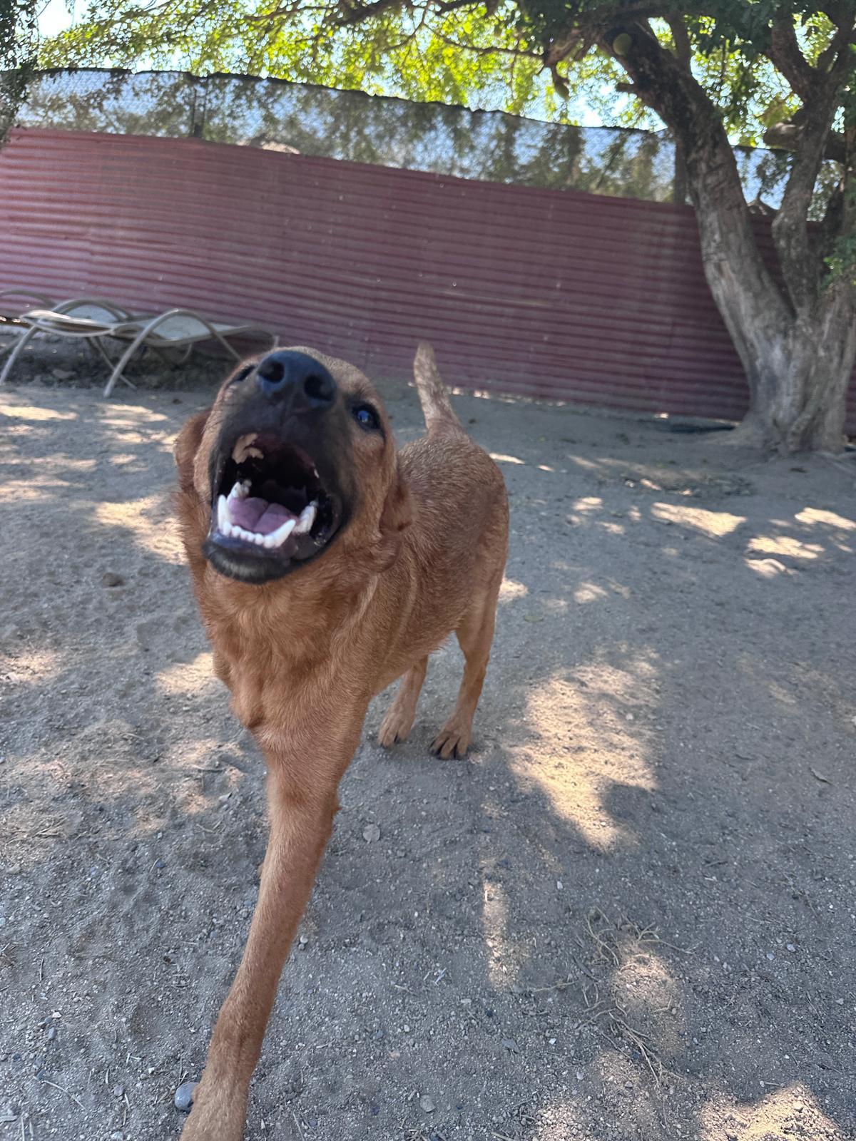 Terron — thumbnail 3