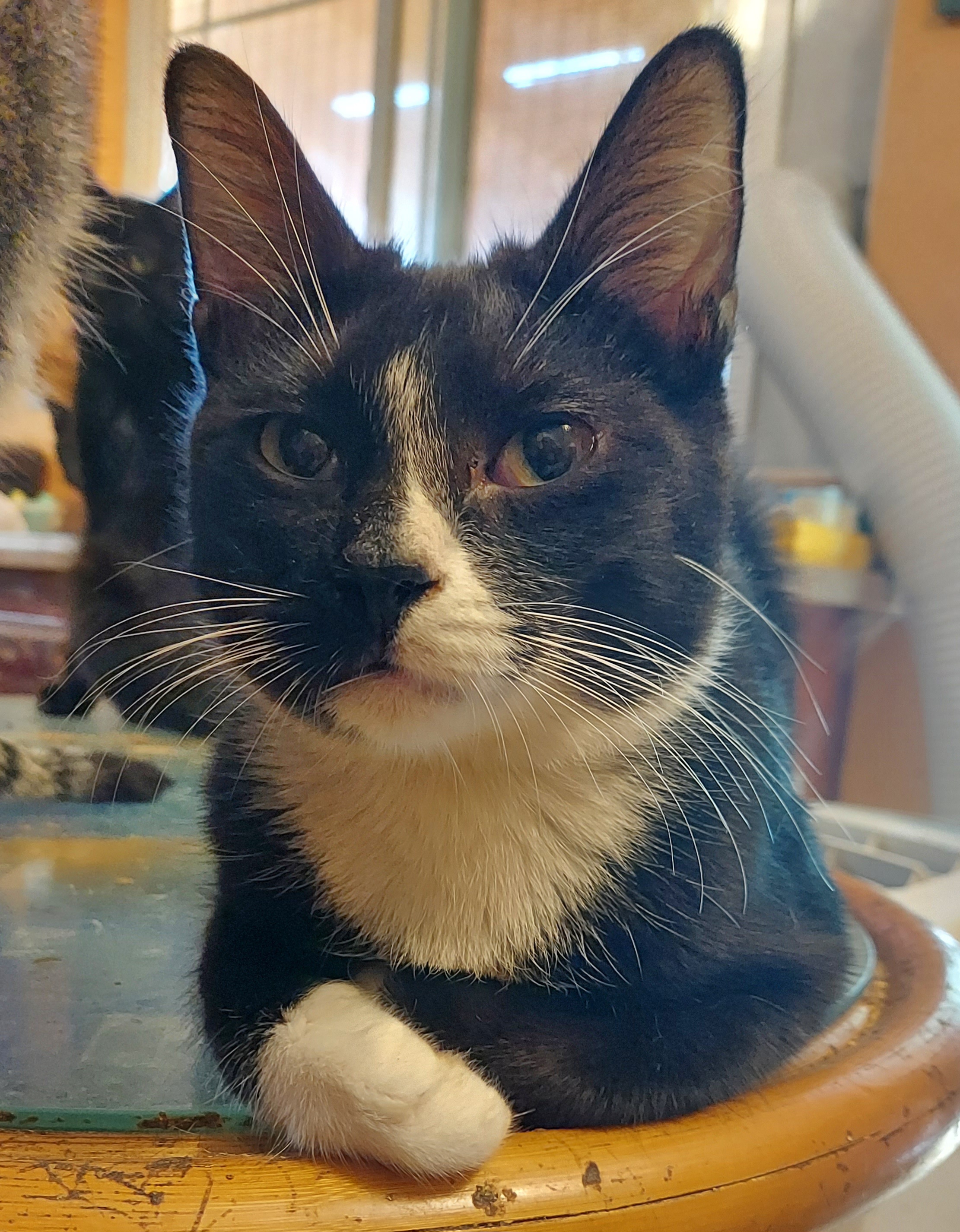 Tucker