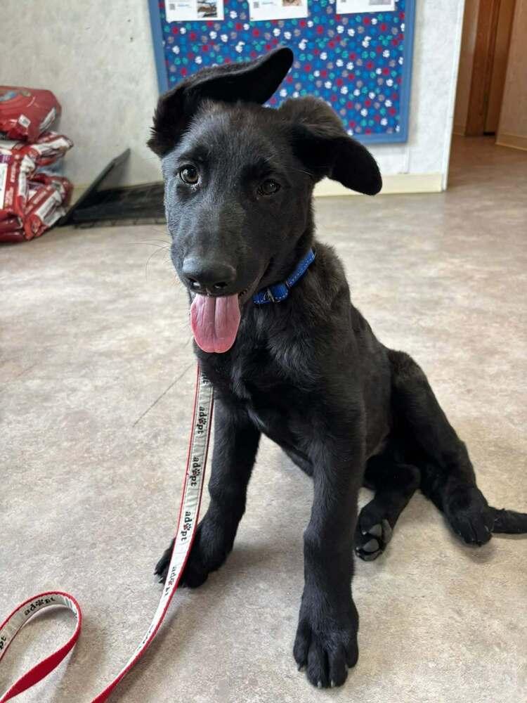 Zero- Located in Colorado