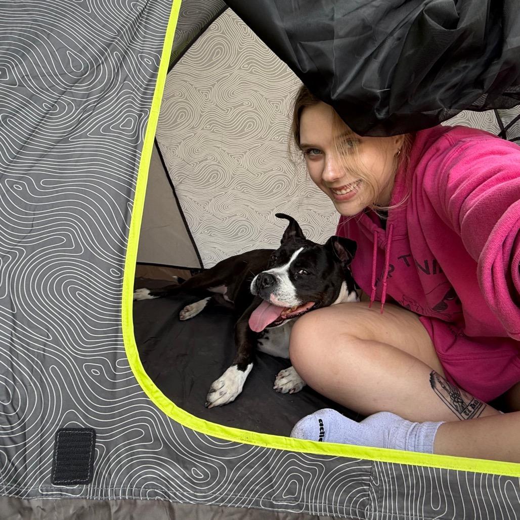 Enlarge Hannah Banana, a Adoptable mixed breed in Martinsville, VA image 3/6