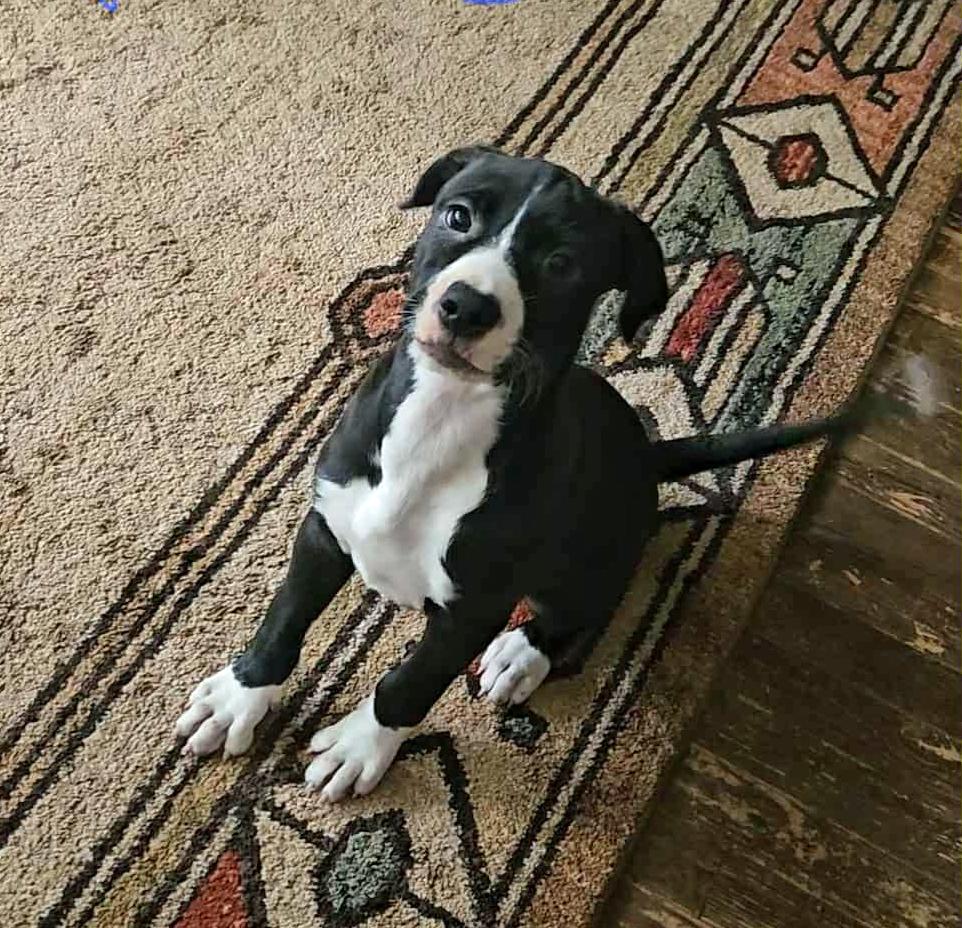 Maggie