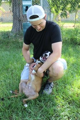 Enlarge Cassius, a Adoptable mixed breed in Port Allen, LA image 3/3