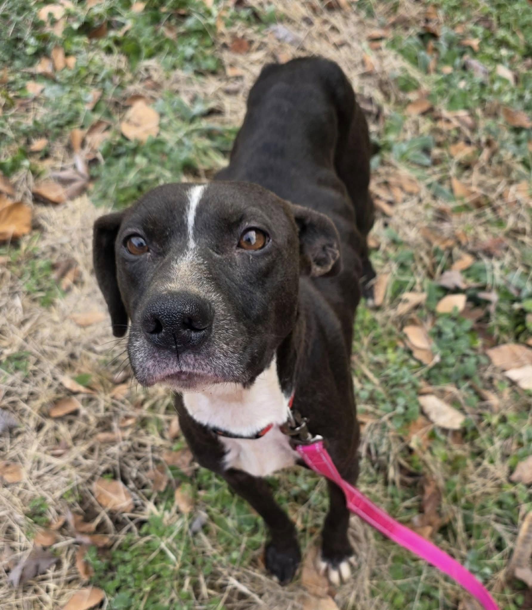 Mama Sadie (20260113-08)