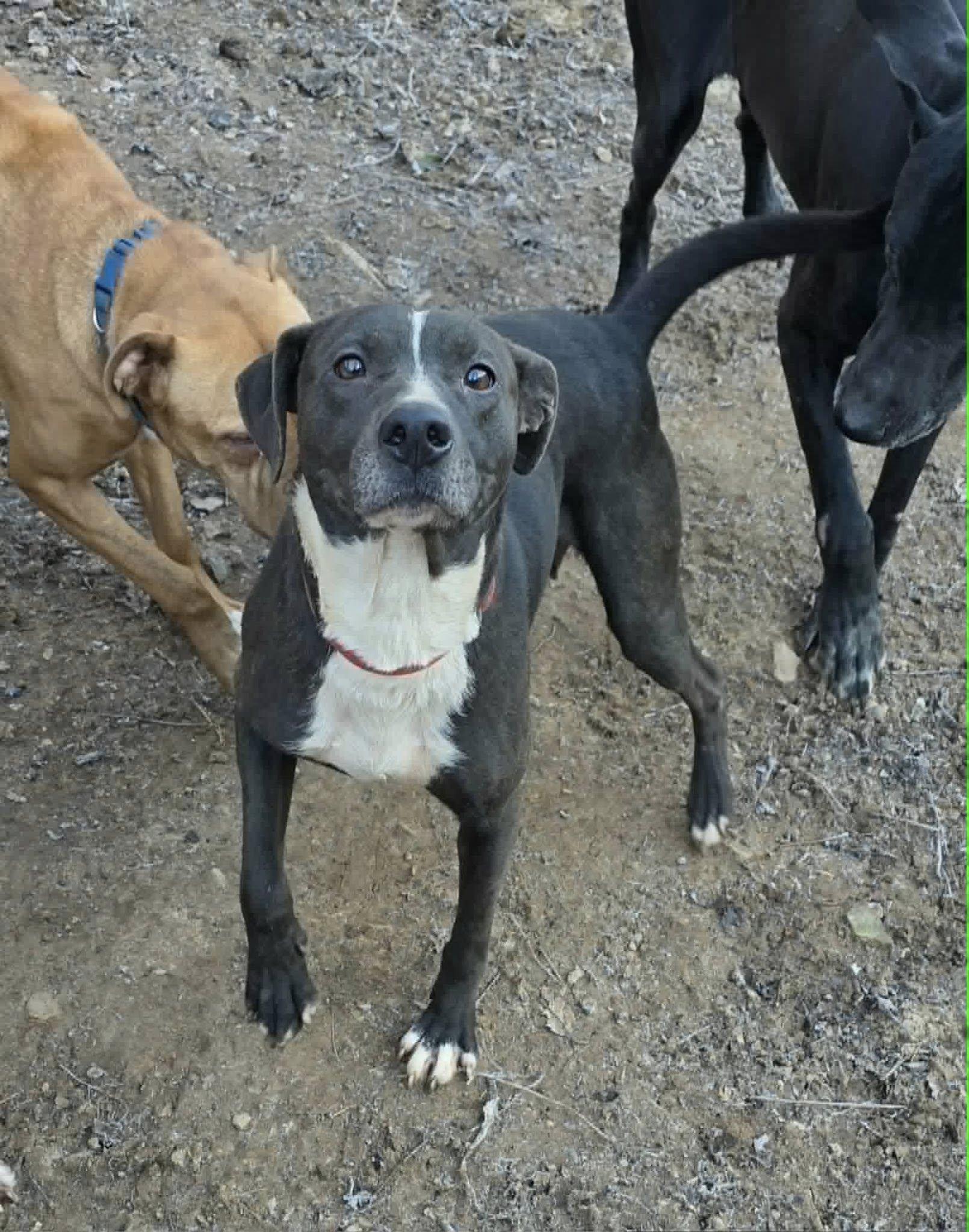 Mama Sadie (20260113-08) — thumbnail 2