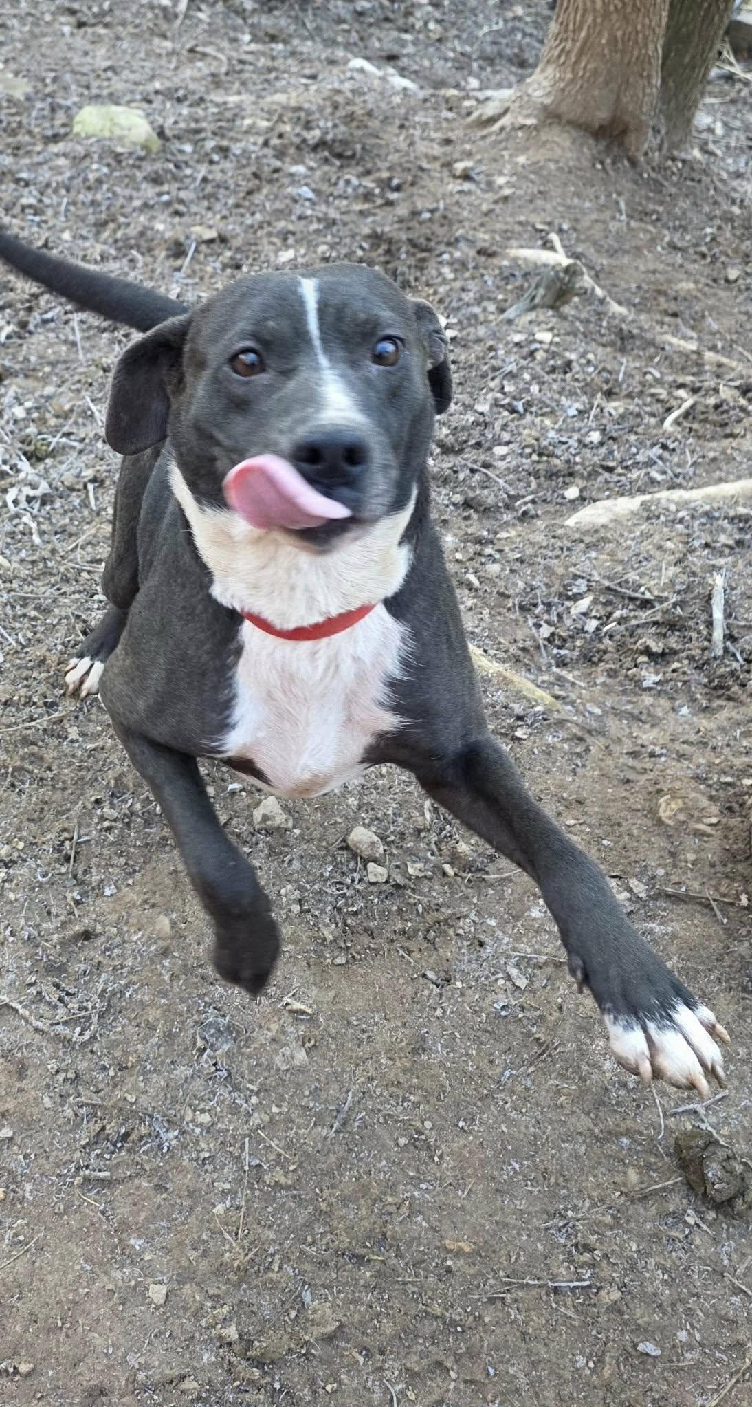 Mama Sadie (20260113-08) — thumbnail 3