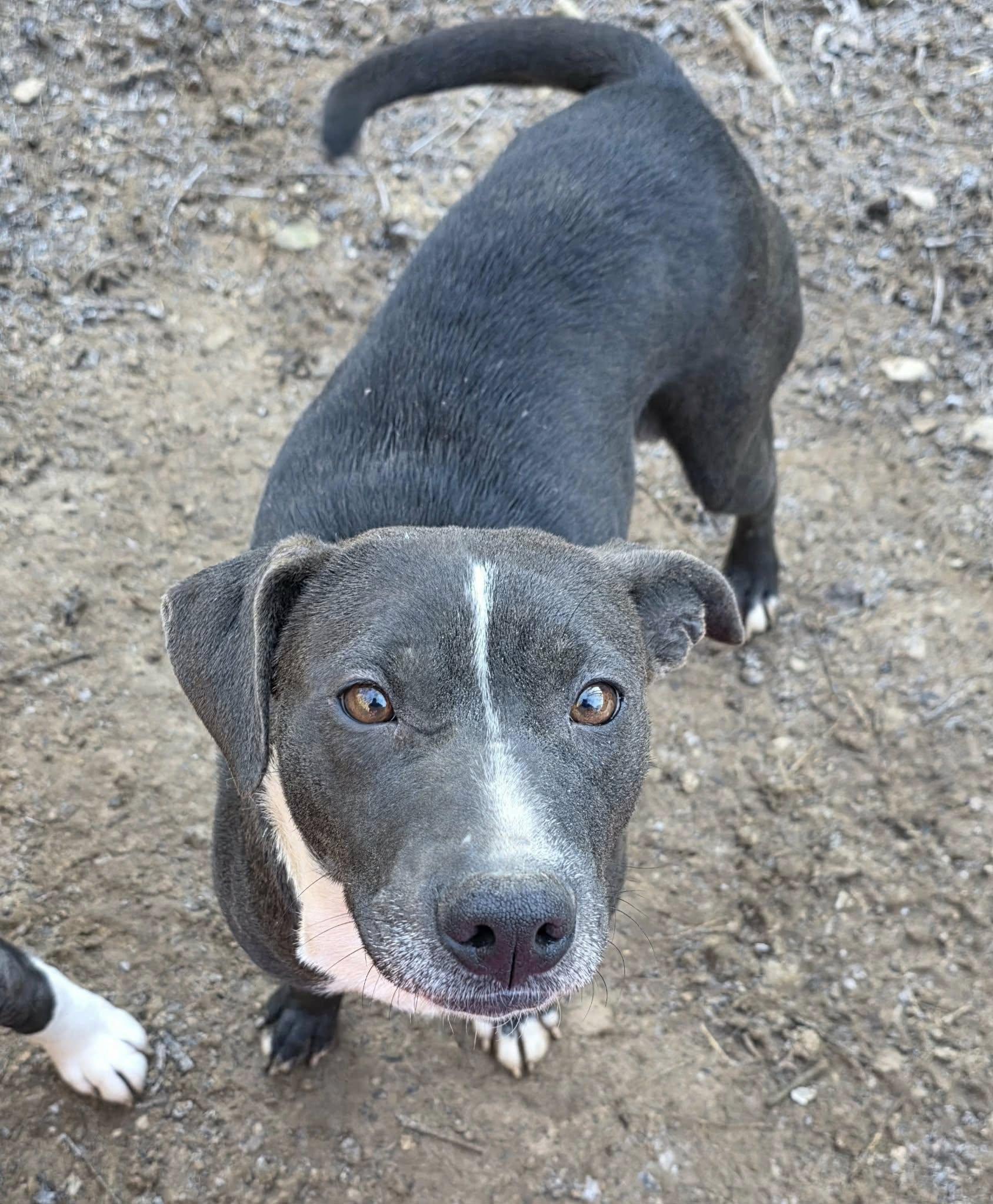 Mama Sadie (20260113-08) — thumbnail 4