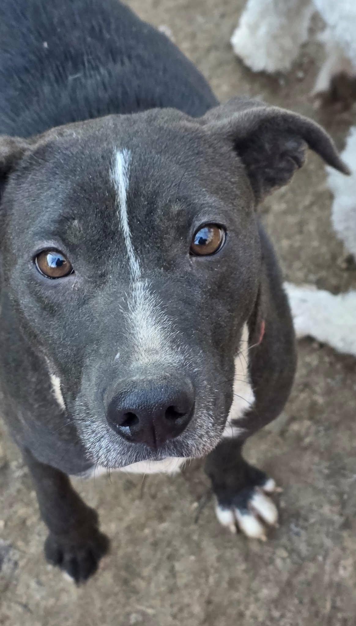 Mama Sadie (20260113-08) — thumbnail 5