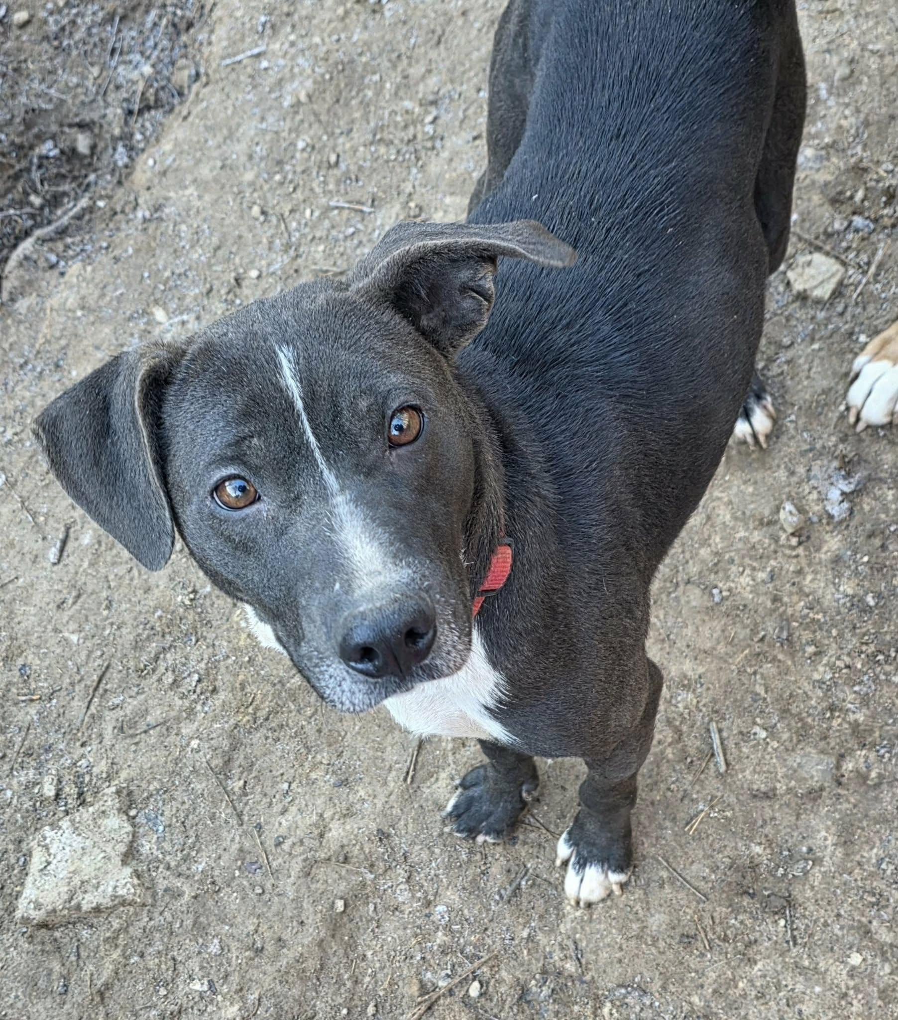 Mama Sadie (20260113-08) — thumbnail 6