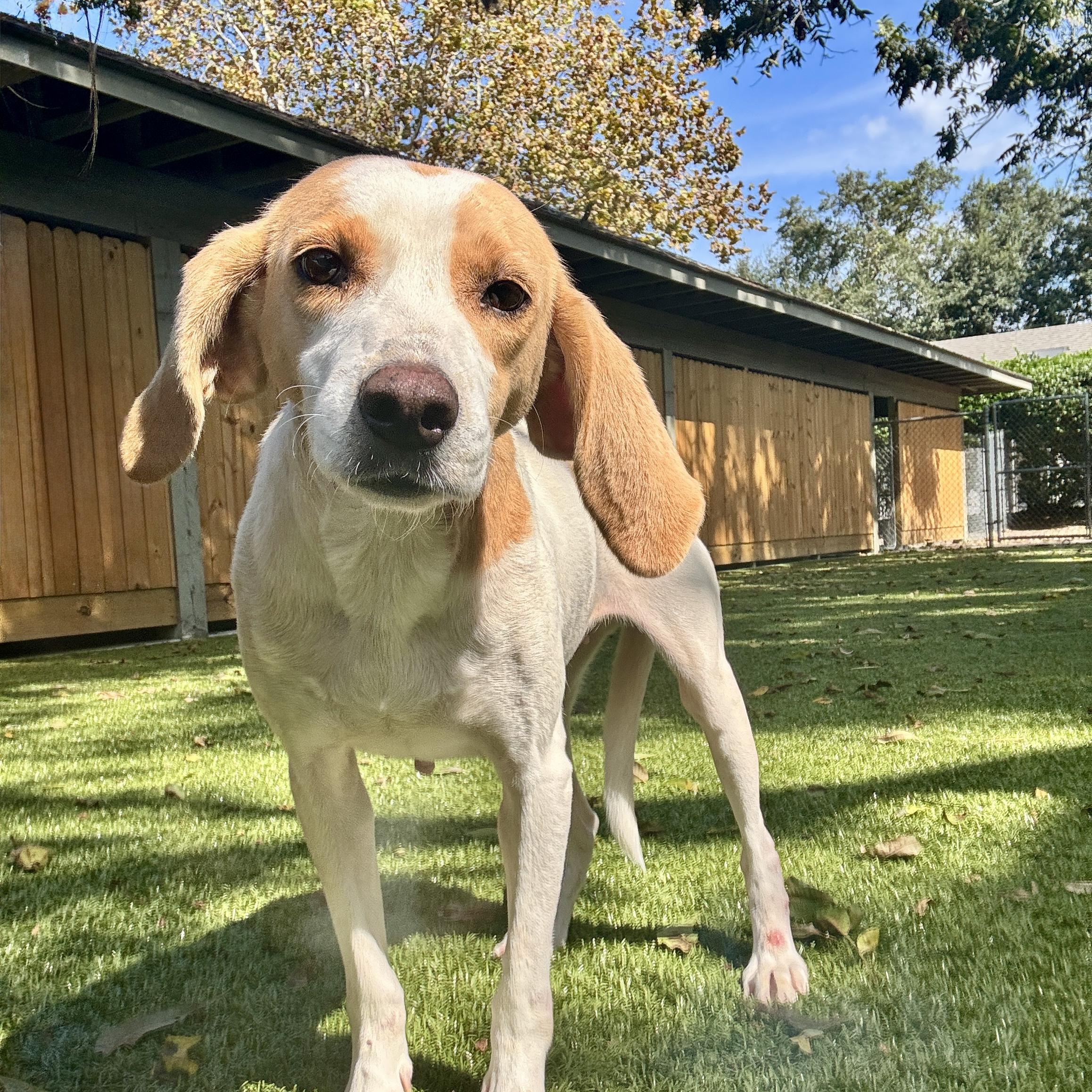 Tammy — thumbnail 2