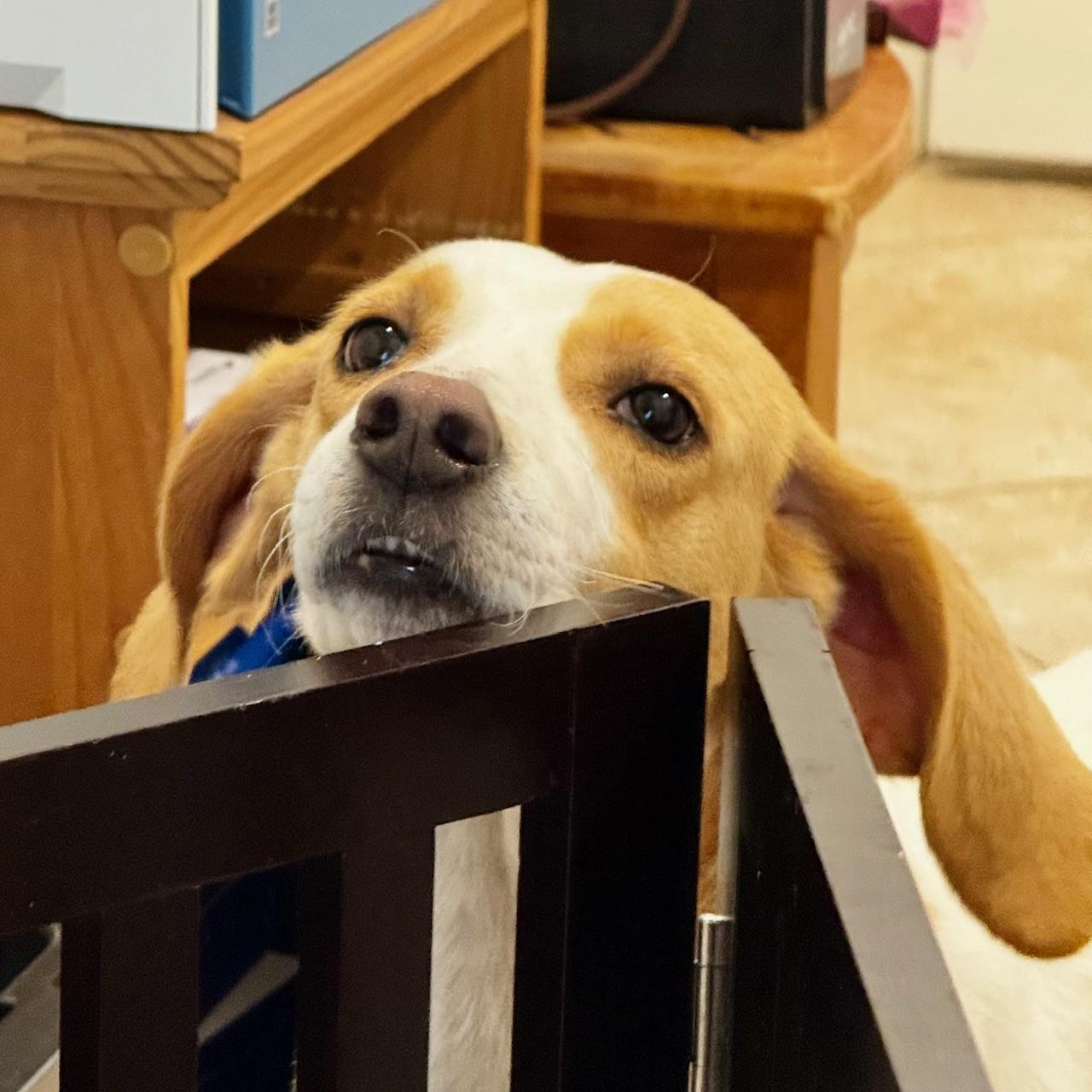 Tammy — thumbnail 3