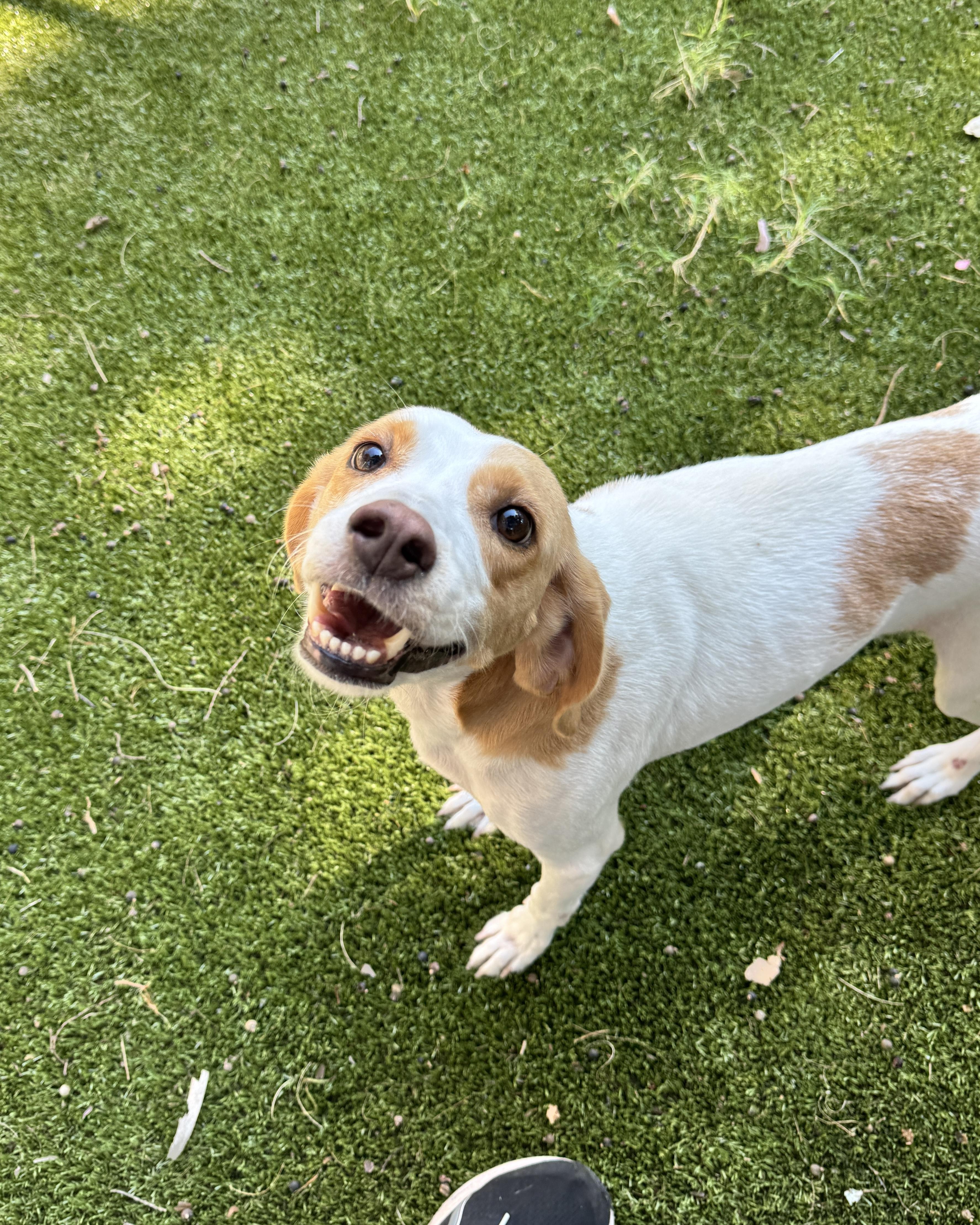 Tammy — thumbnail 4