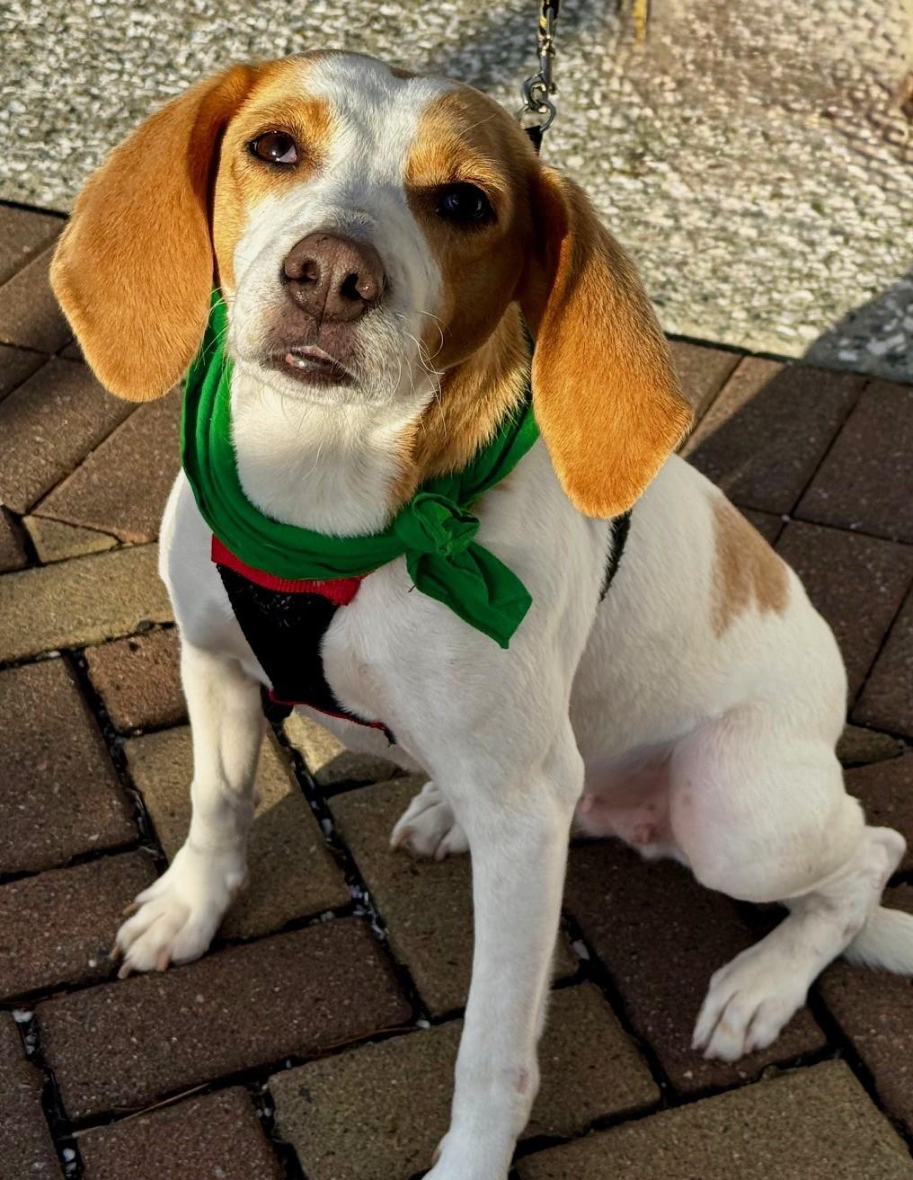 Tammy — thumbnail 5