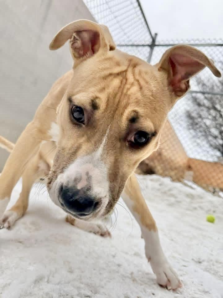 Hartlynn — thumbnail 2