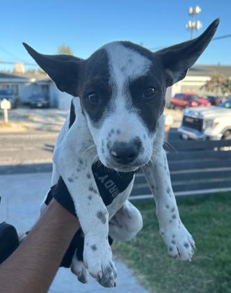 SEIZED "CORALINE" 1673 HOLD UNTIL 11/8/2025