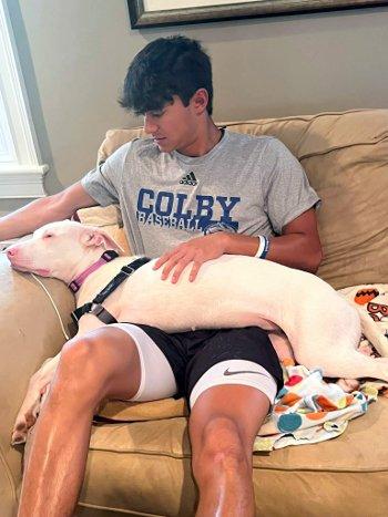 Cassie, a Adoptable mixed breed in Bedford Hills, NY image 5/6